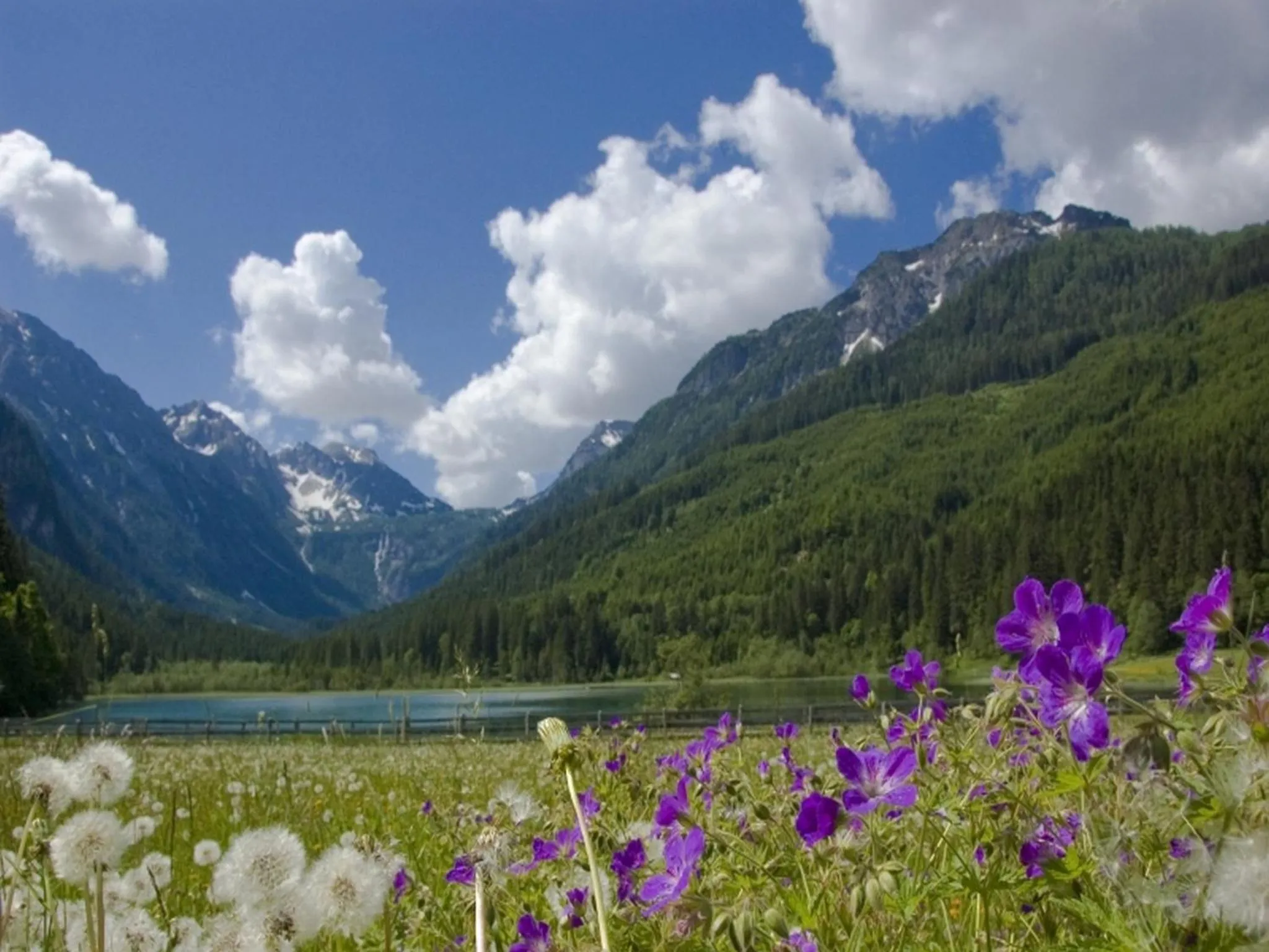 Summer in Hotel Garni Alpenland