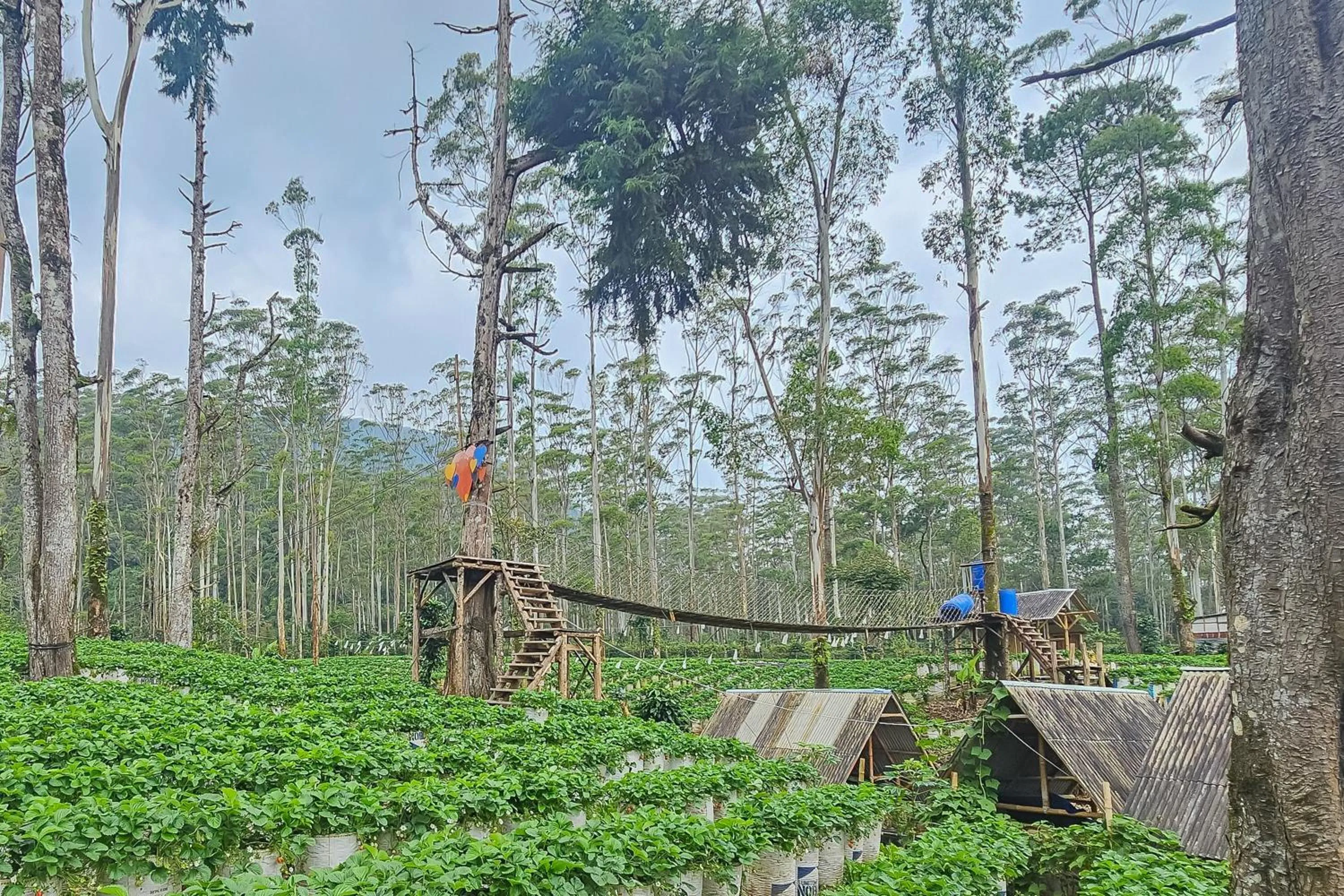 Property building in Cigadog Residence Mitra Reddoorz