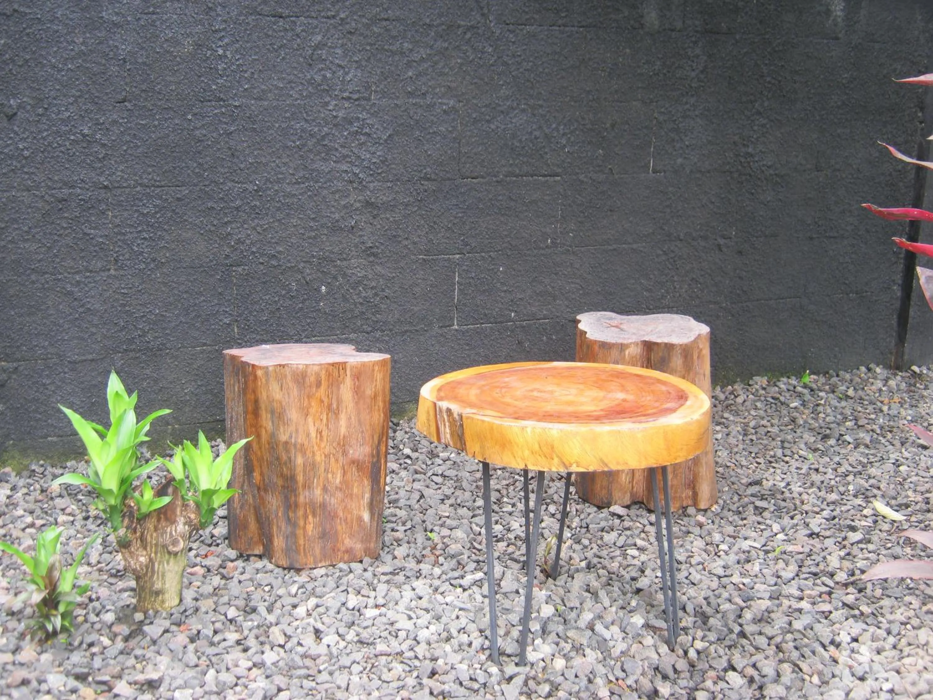 Day in Aqilakost Gadog Puncak Bogor