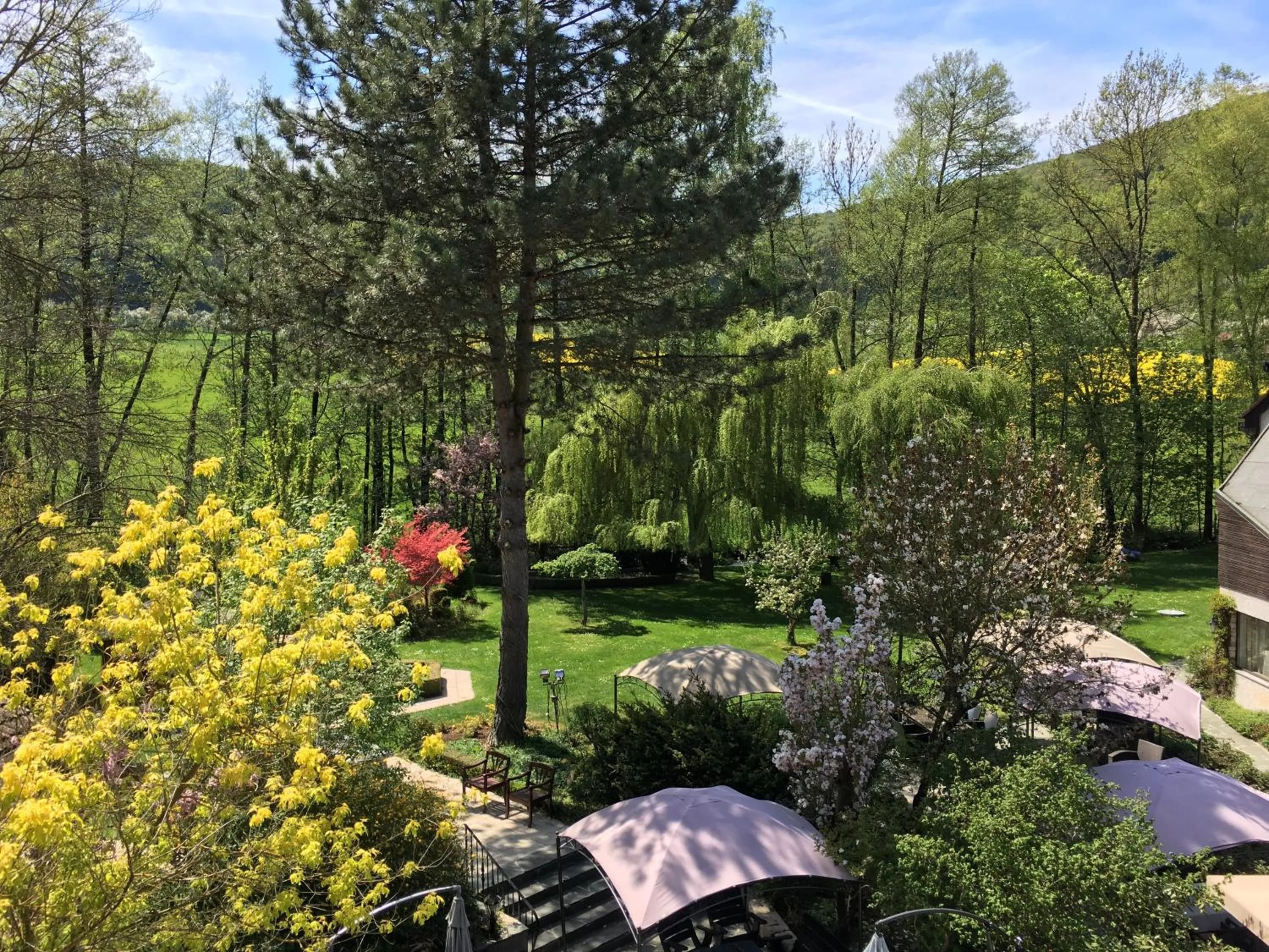 Garden in Hotel Kainsbacher Mühle