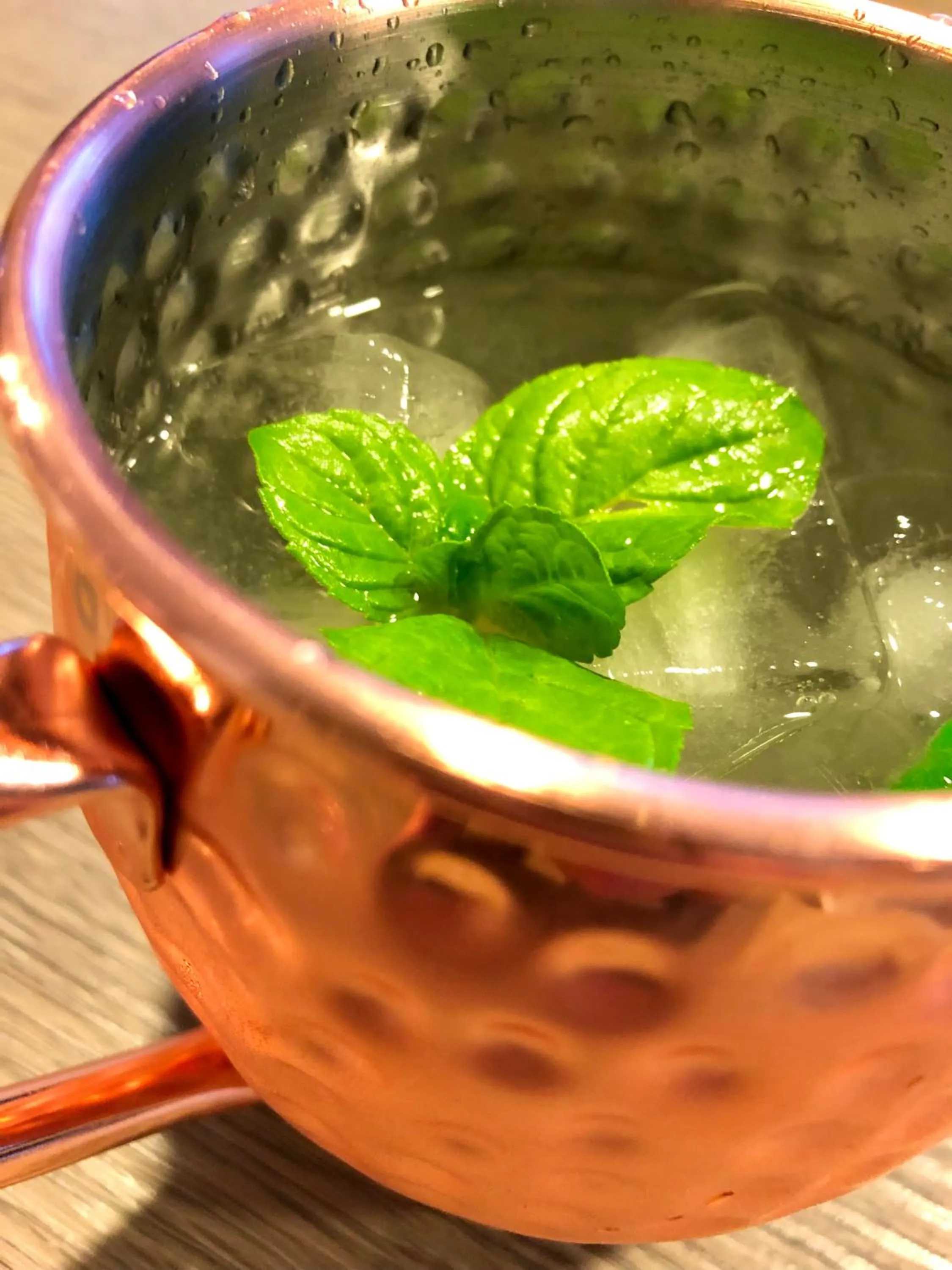 Lounge or bar in Hotel Caravel B&B