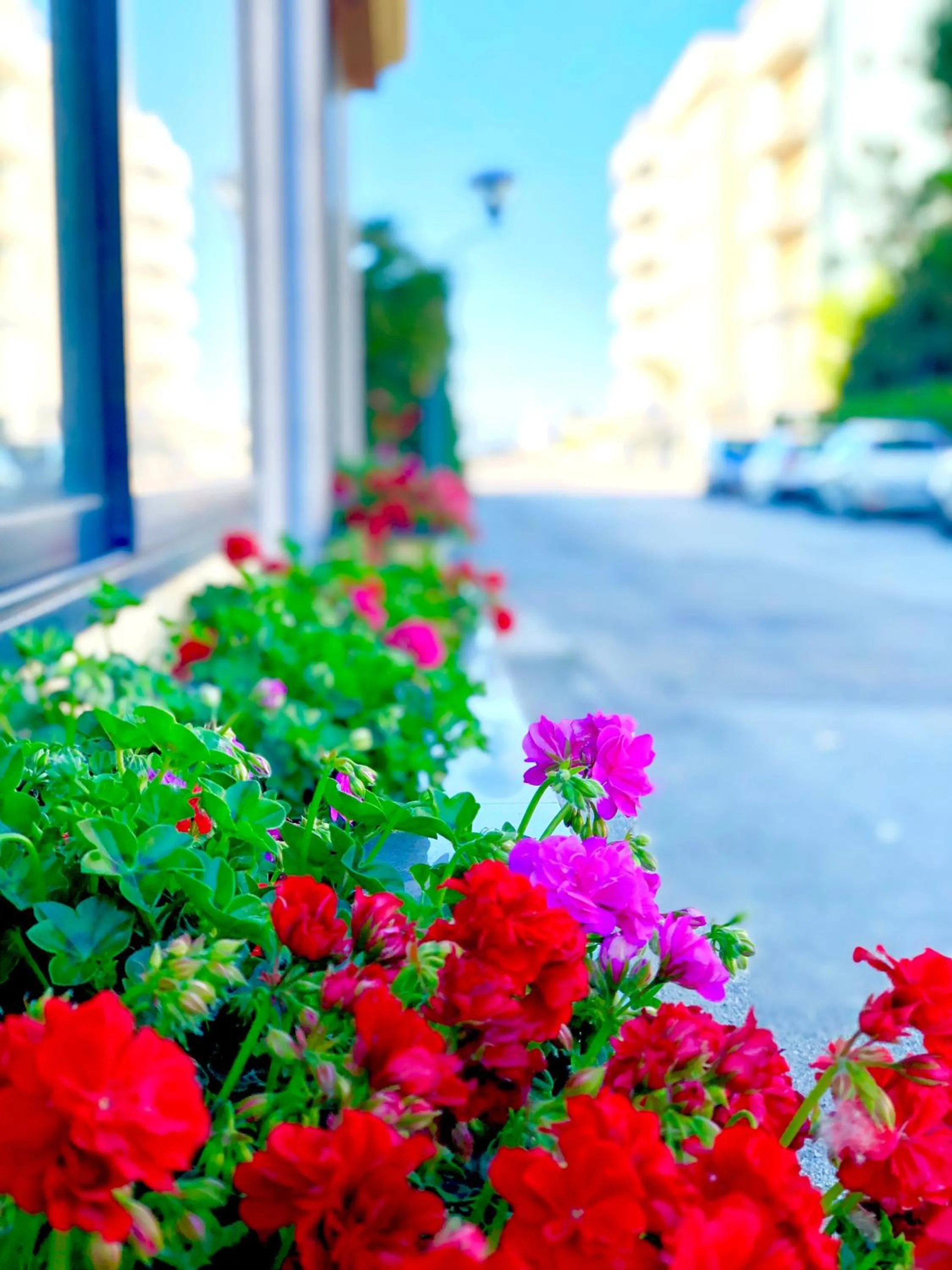 Street view in Hotel Caravel B&B