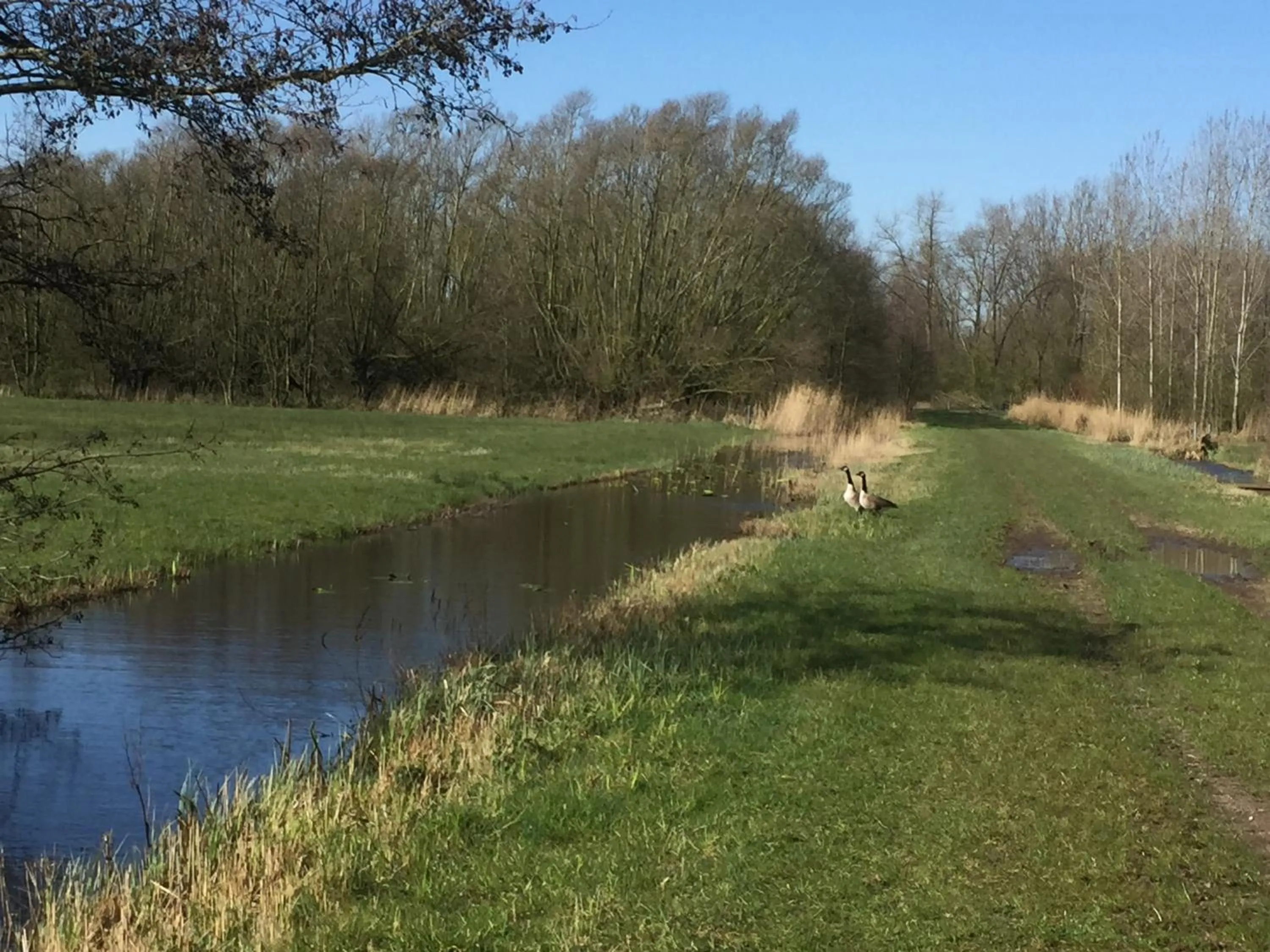 Natural landscape in B&B Gamerenwaard
