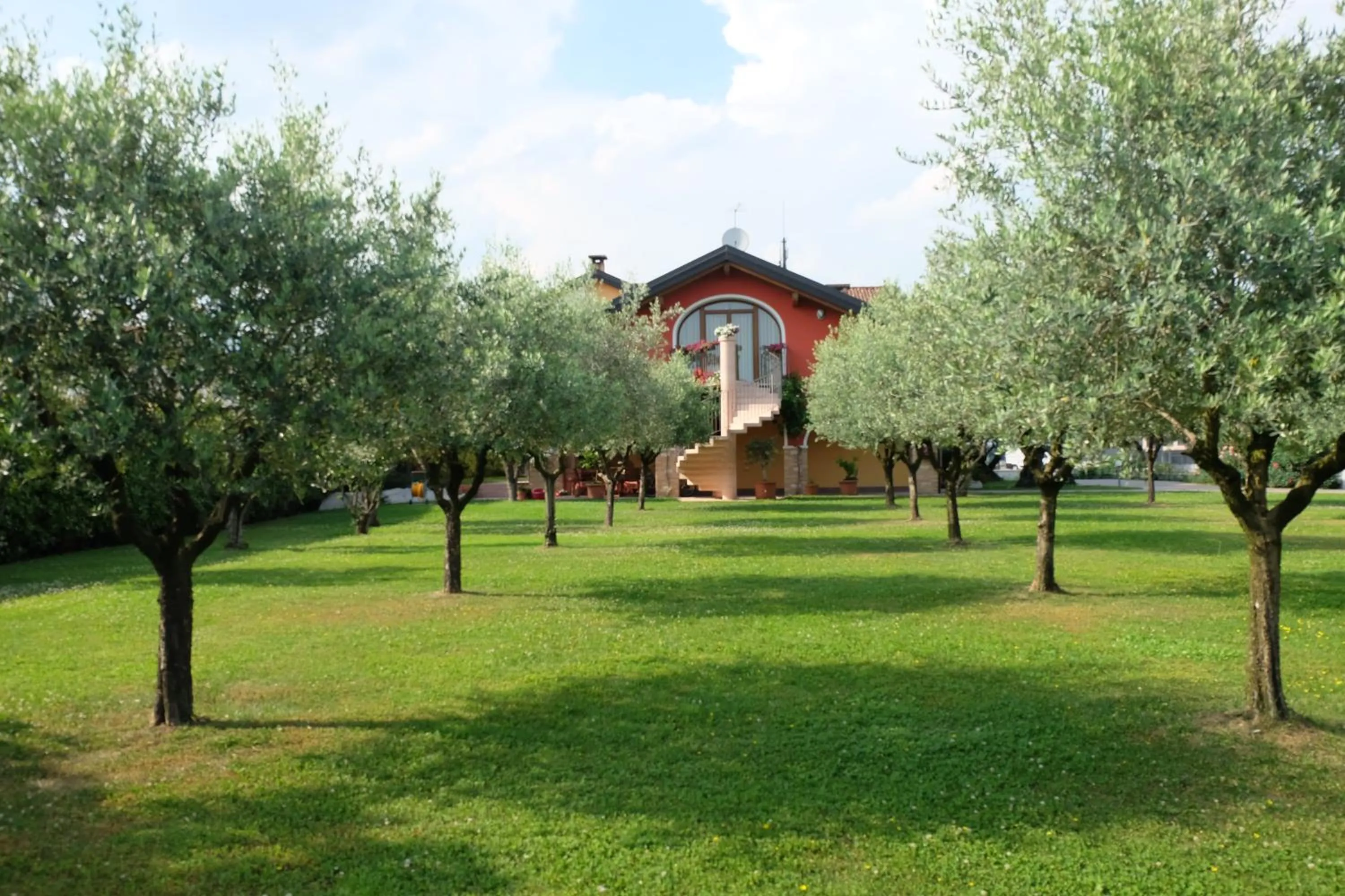 Natural landscape in B&B agli Ulivi