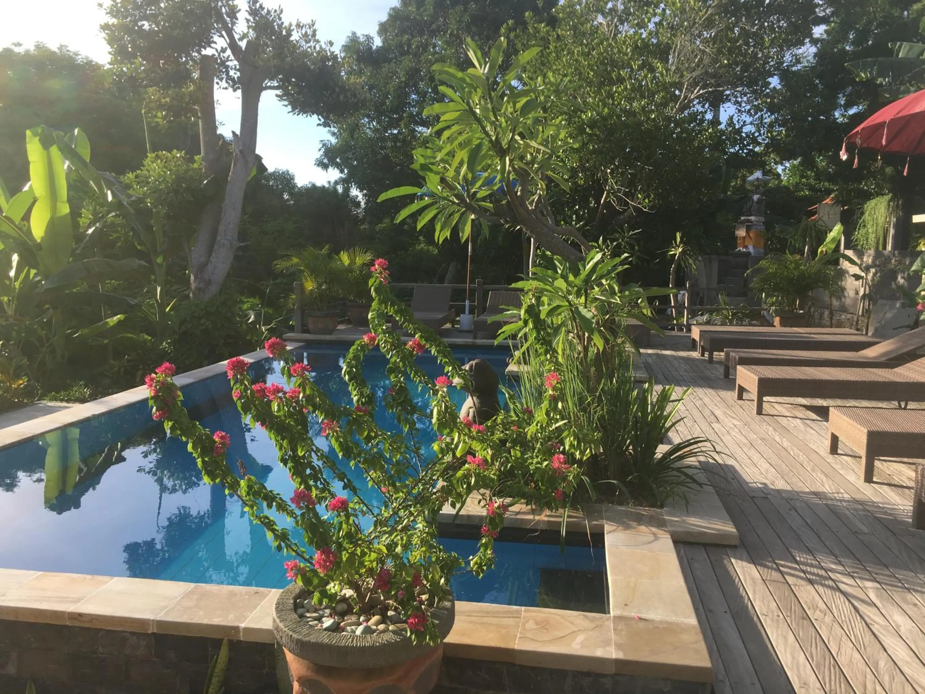 Swimming pool in Le Biu garden View