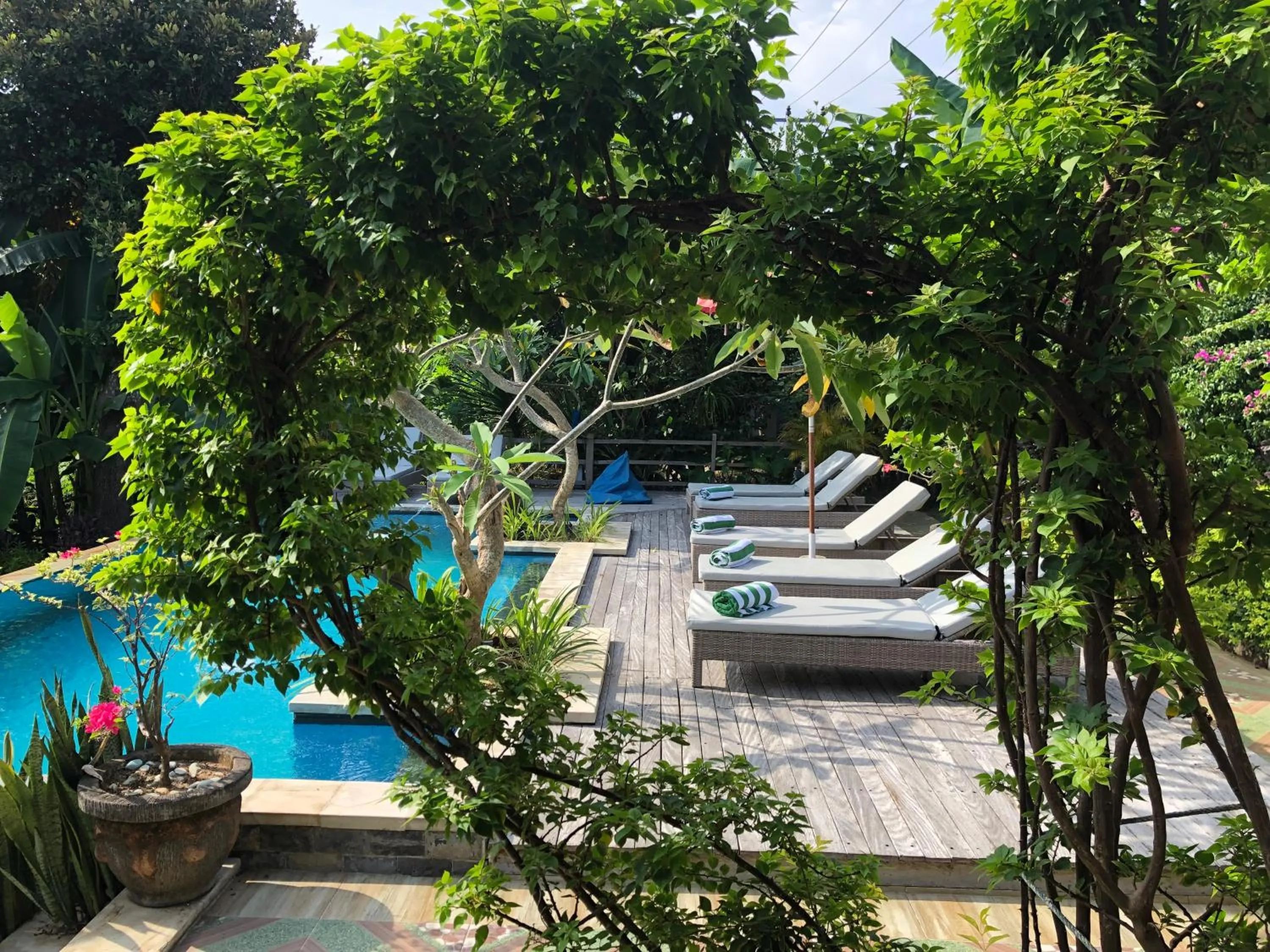 Pool view in Le Biu garden View