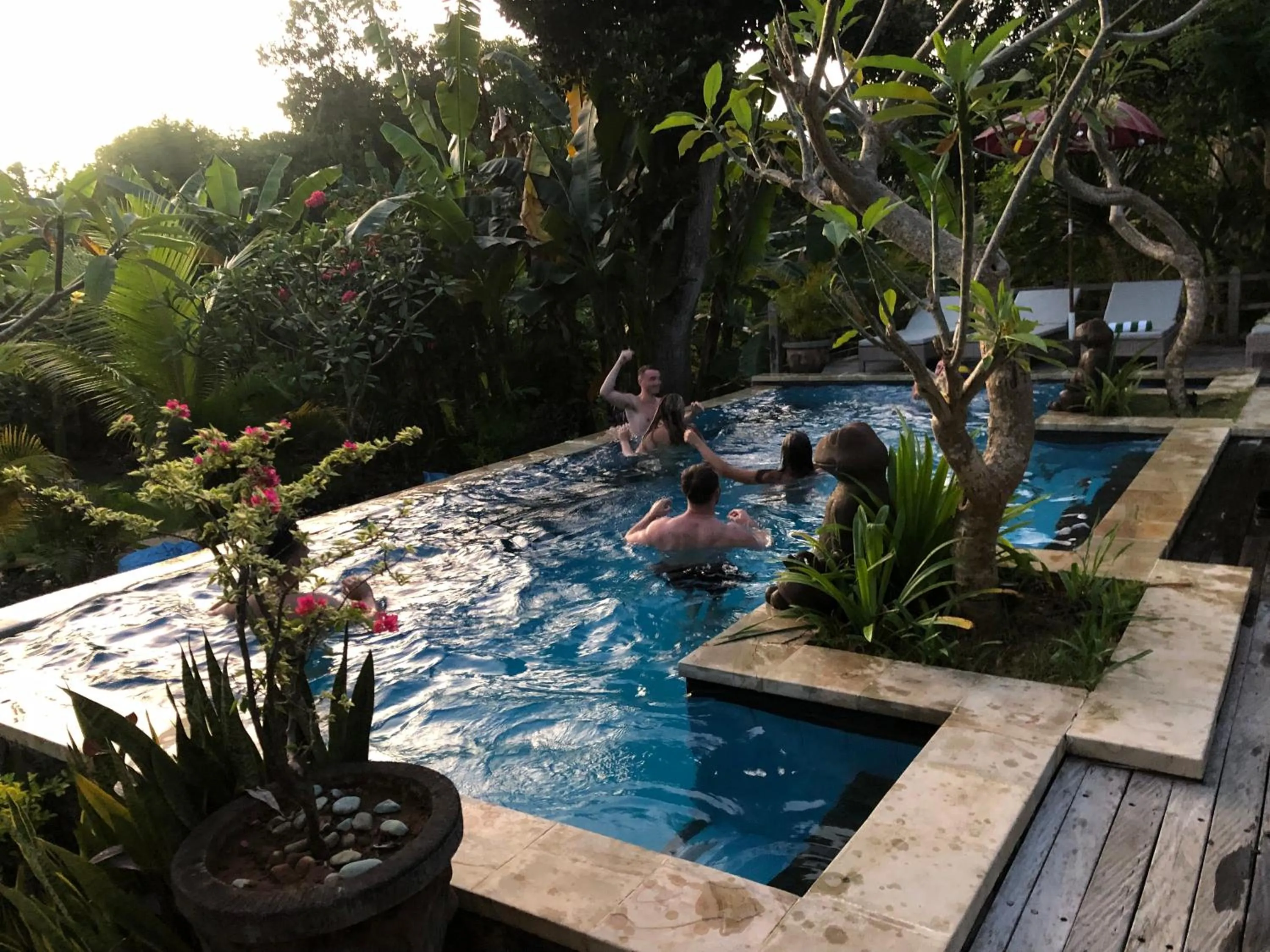 Pool view in Le Biu garden View