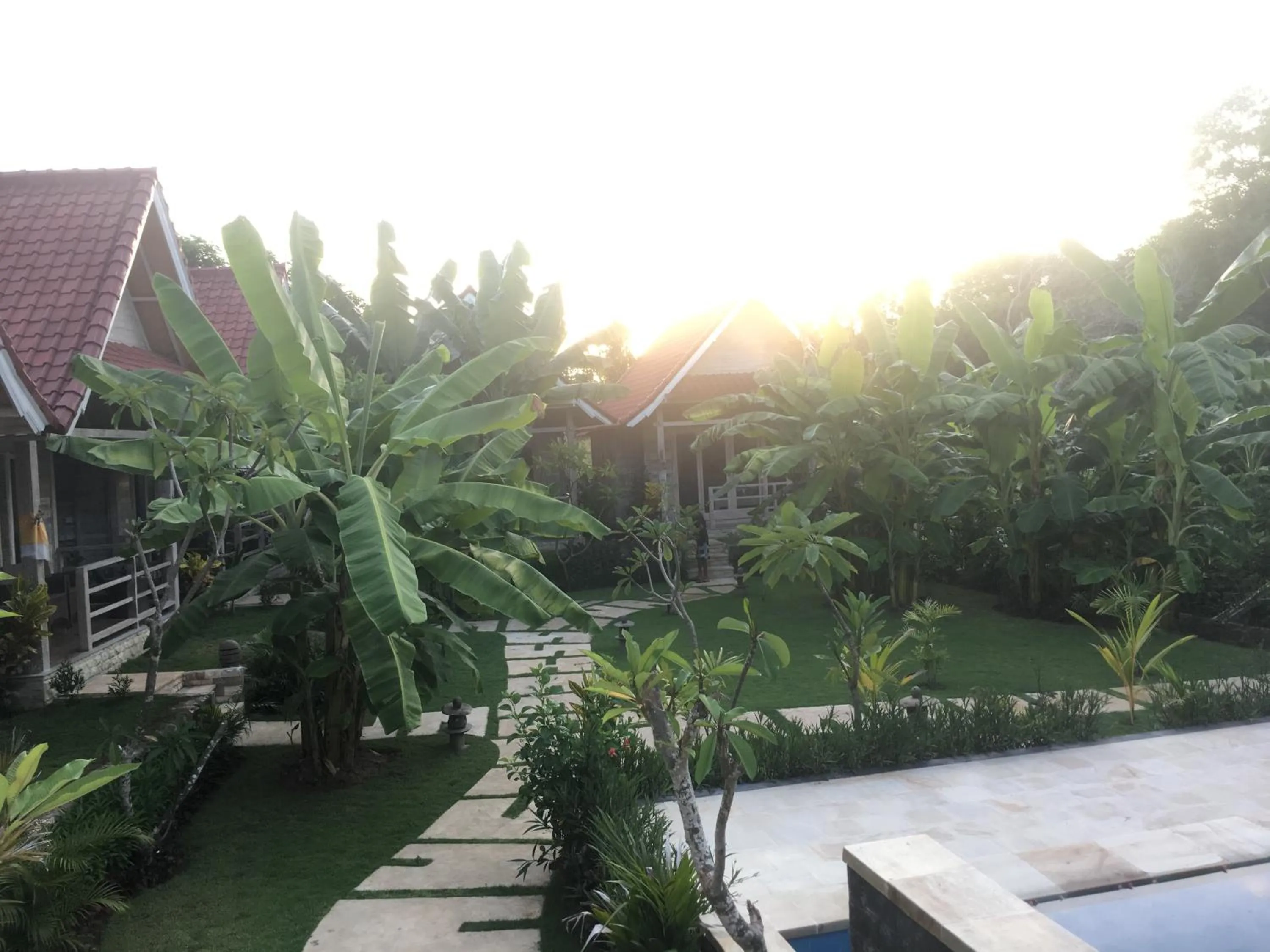 Garden view in Le Biu garden View