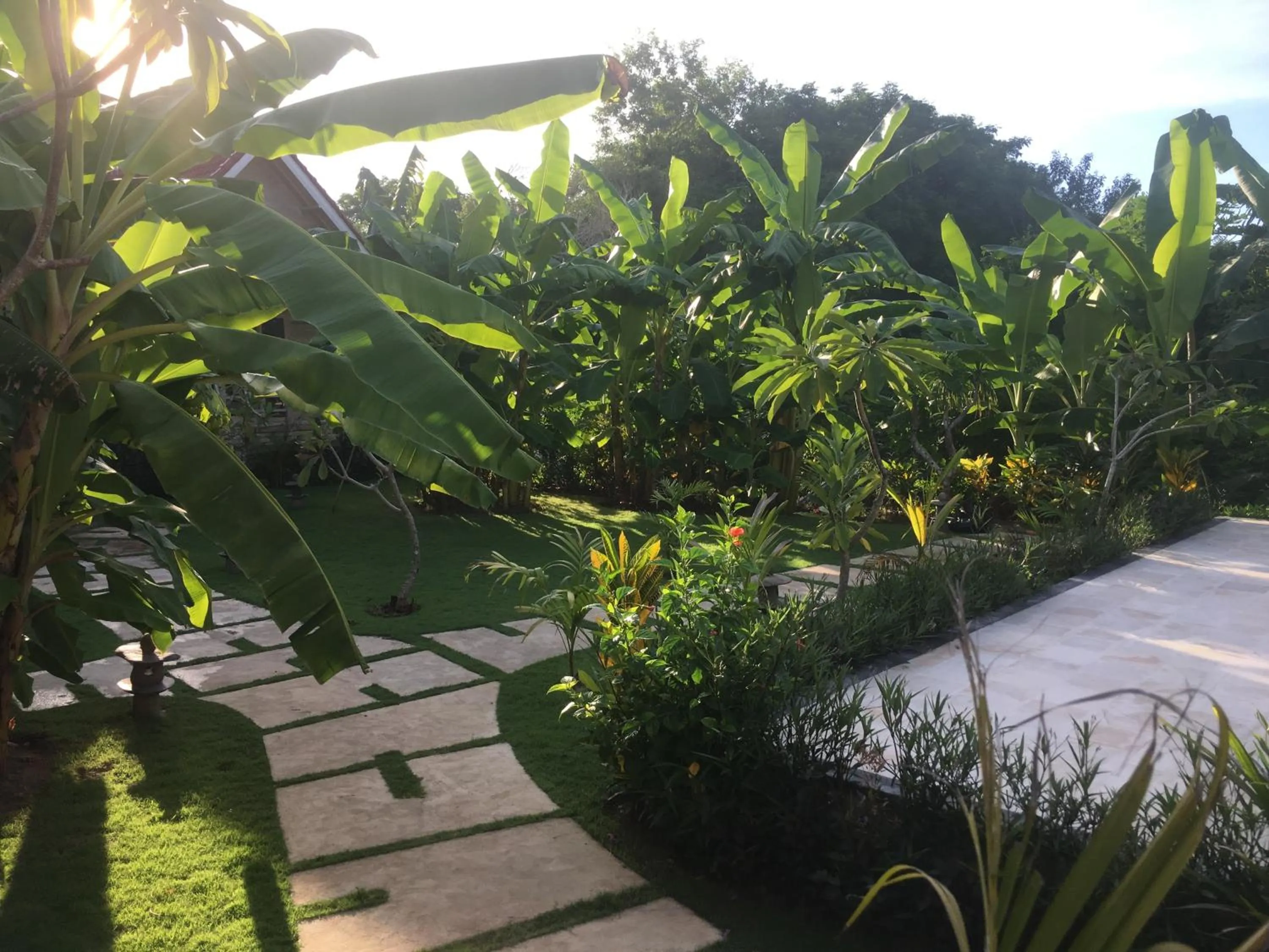 Garden in Le Biu garden View