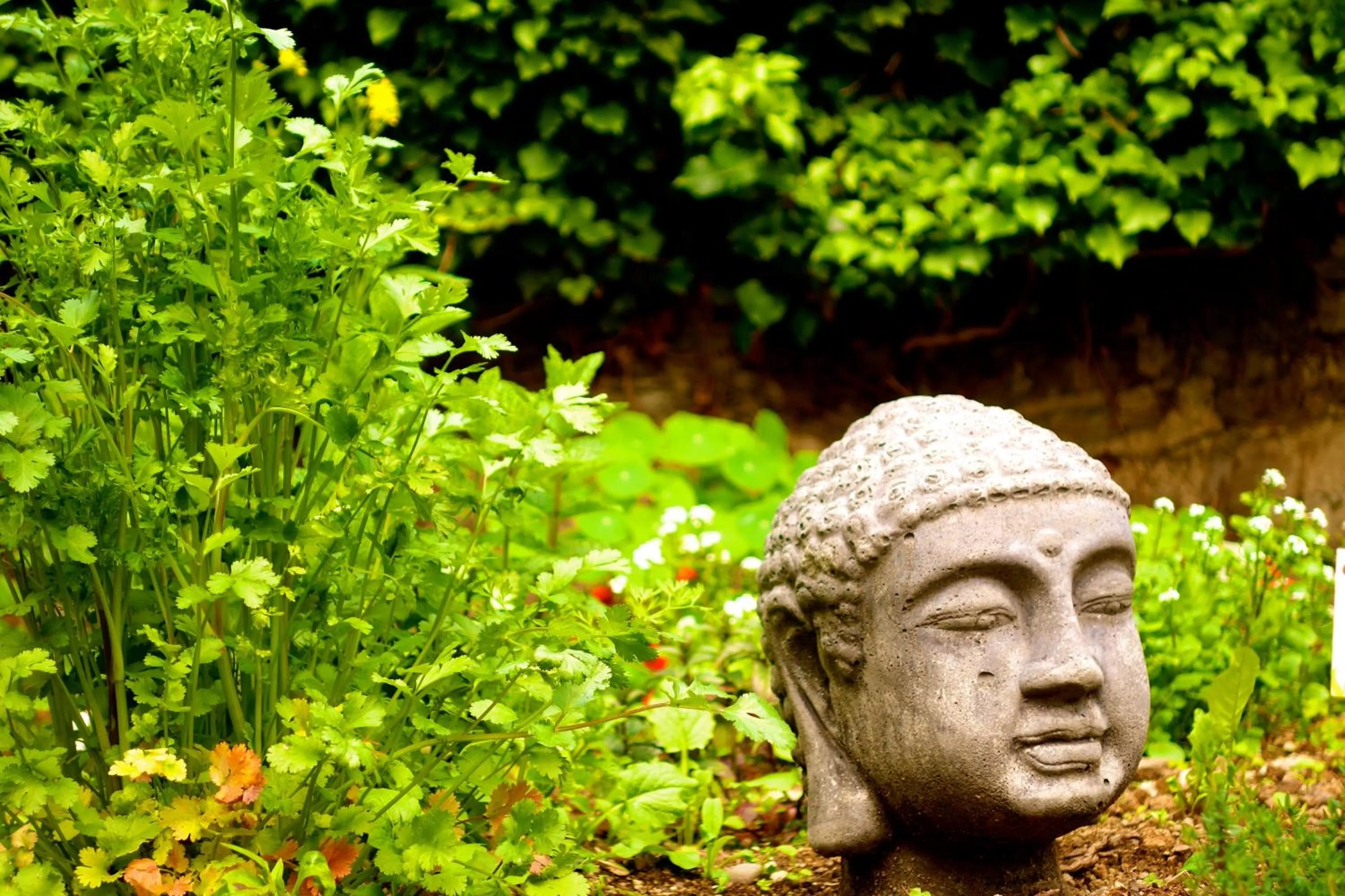 Garden in Romantik Hotel Villa Sayn