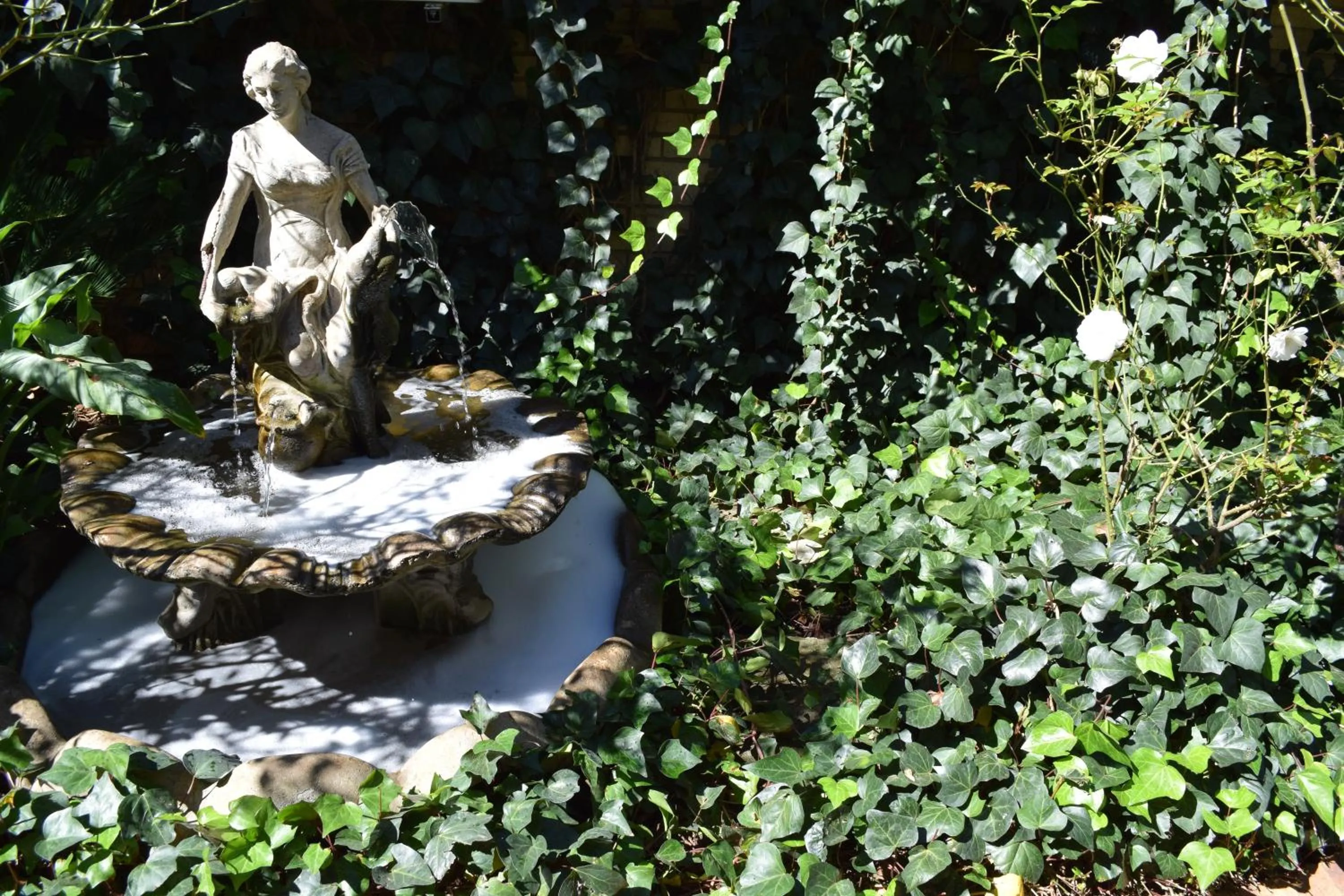 Garden in Thabong Bed and Breakfast