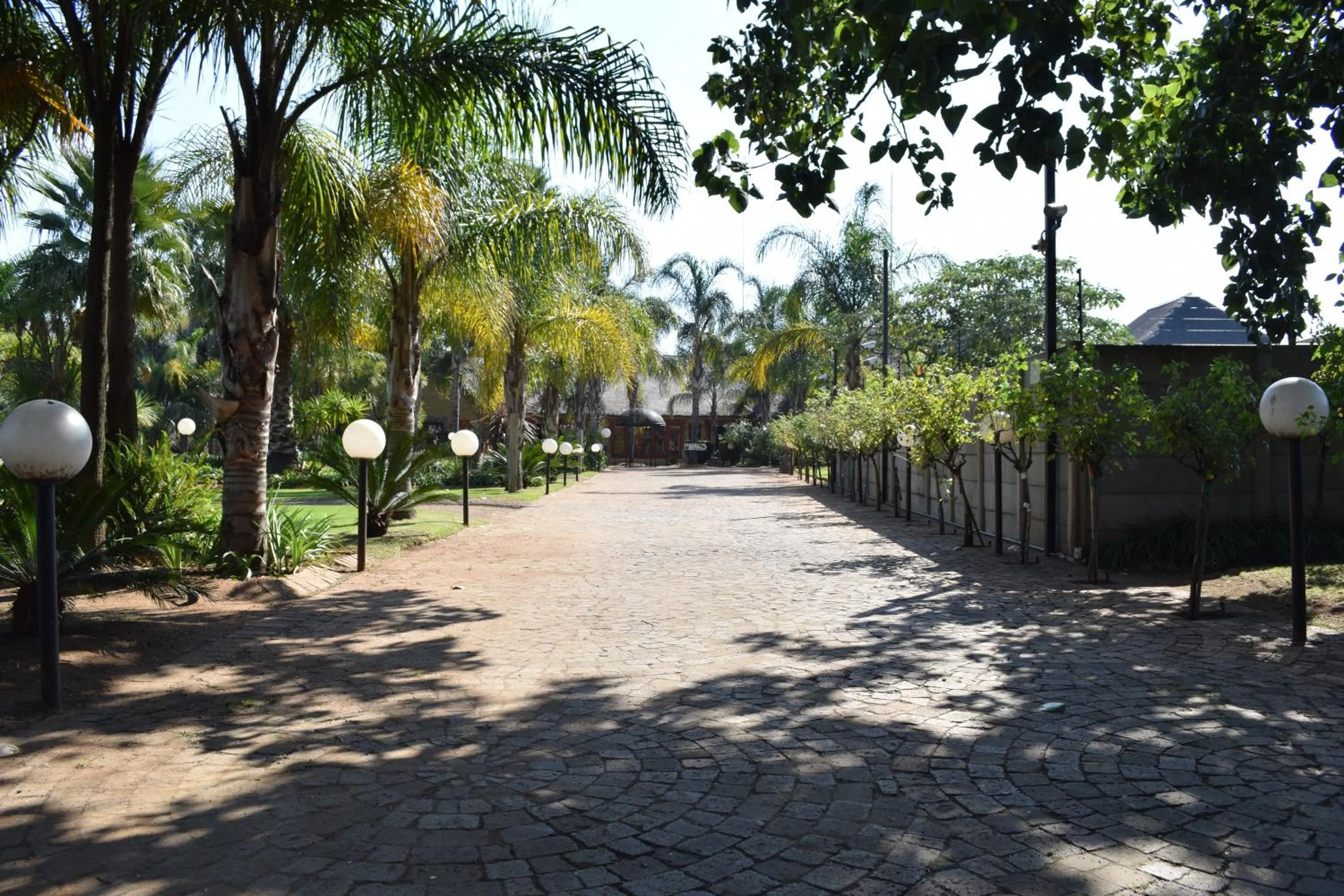 Garden in Thabong Bed and Breakfast