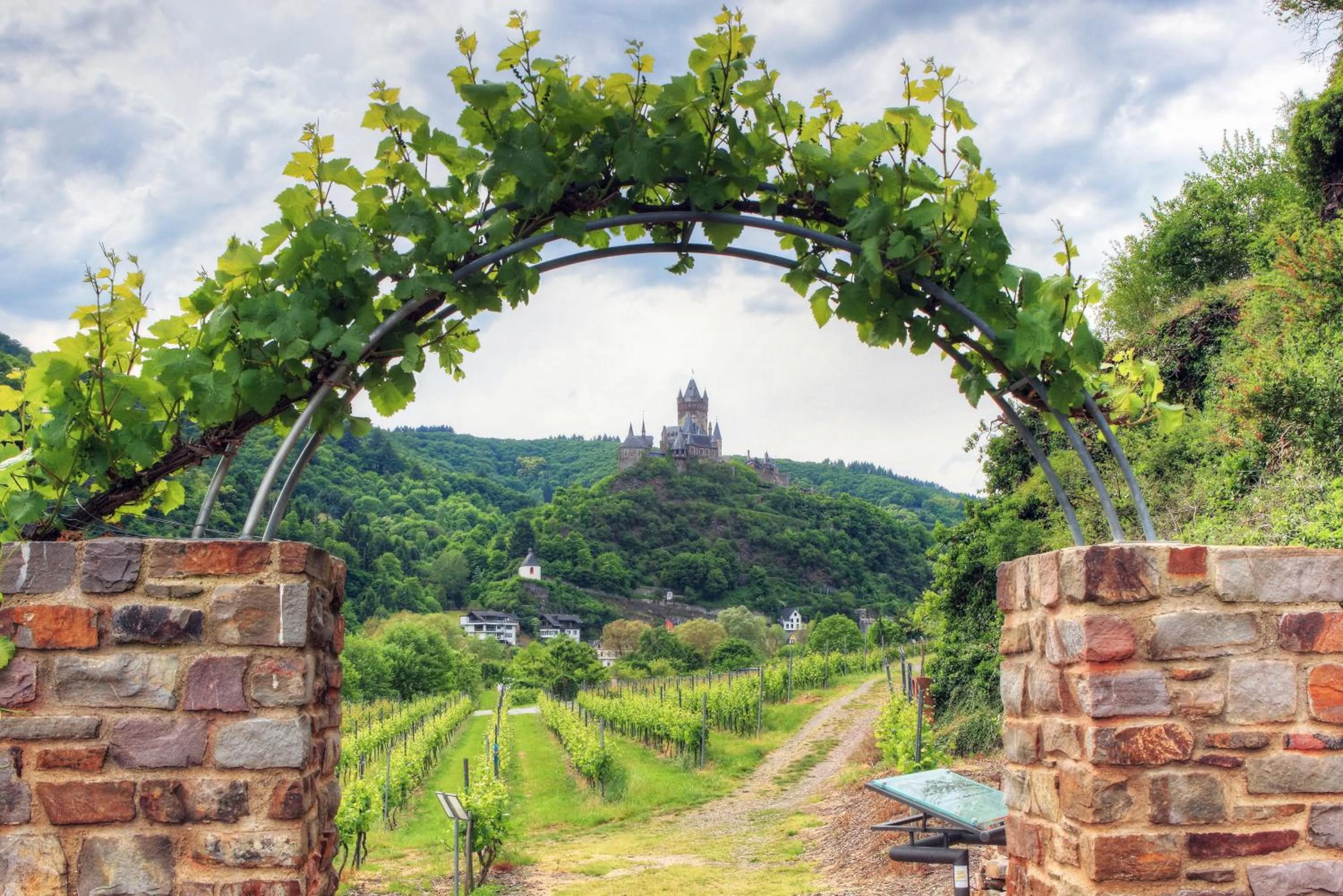 Activities in Landgasthof Winzerscheune