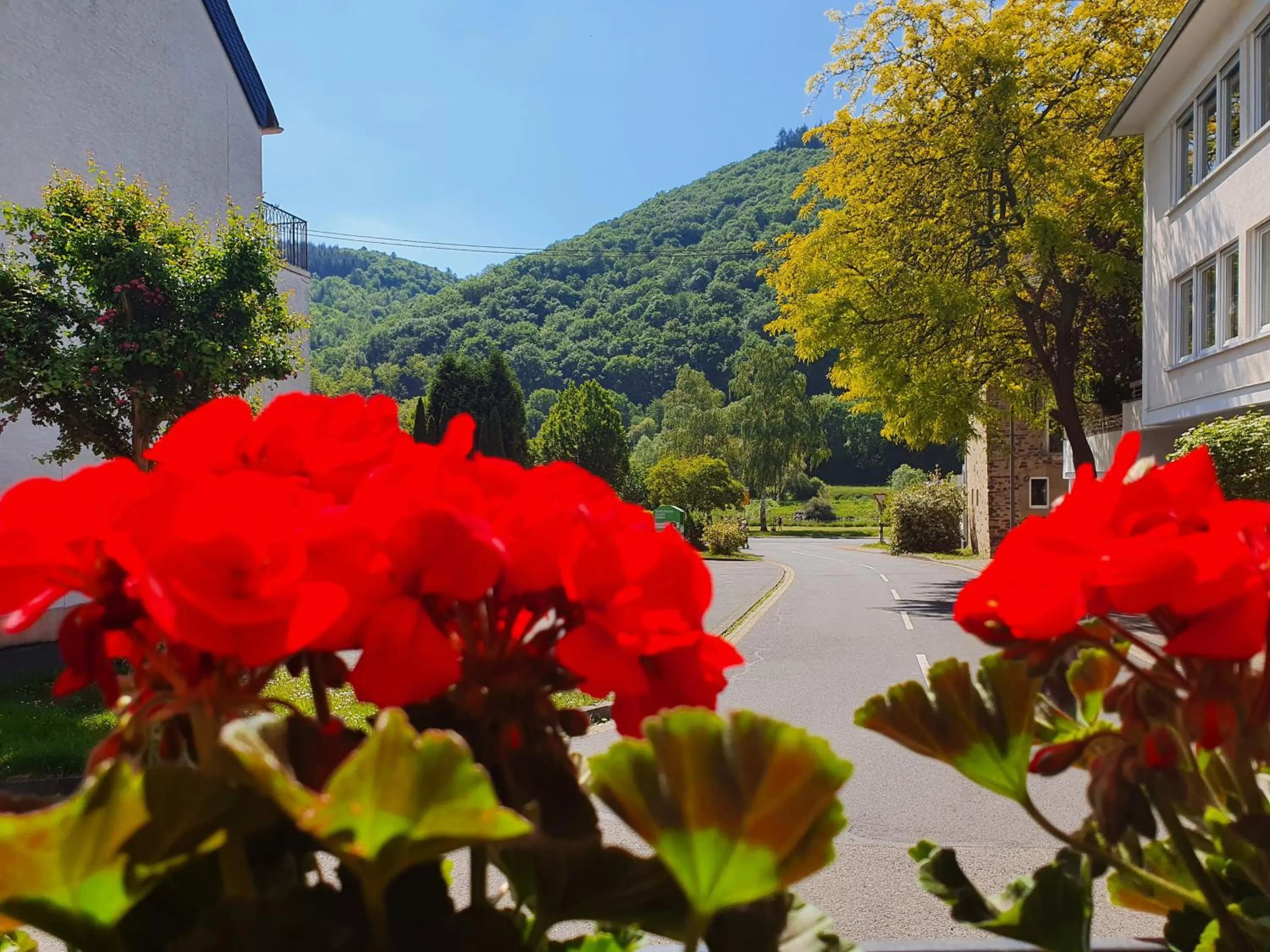 Garden in Landgasthof Winzerscheune