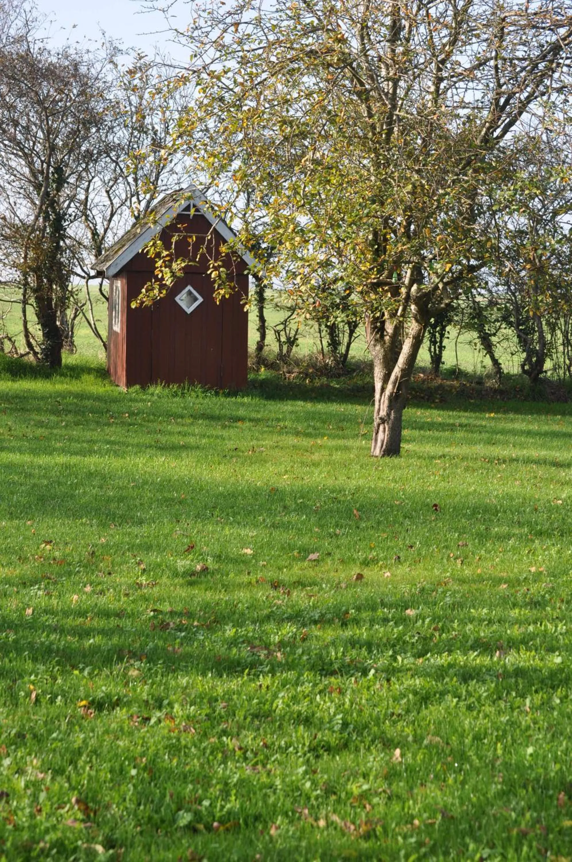 Garden in Bed & Kitchen „Den gamle Skole“ Nr. Sejerslev