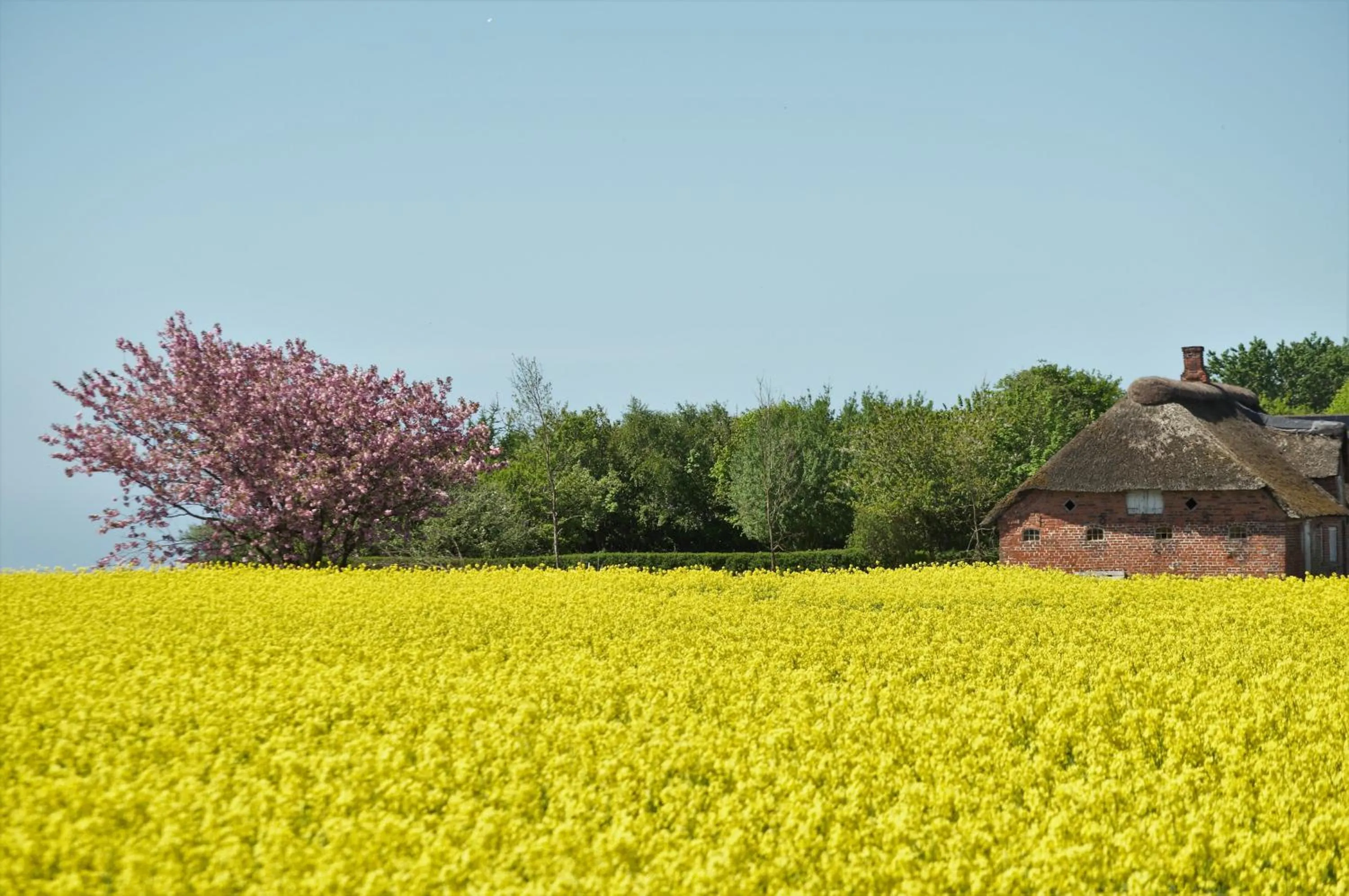 Natural landscape in Bed & Kitchen „Den gamle Skole“ Nr. Sejerslev