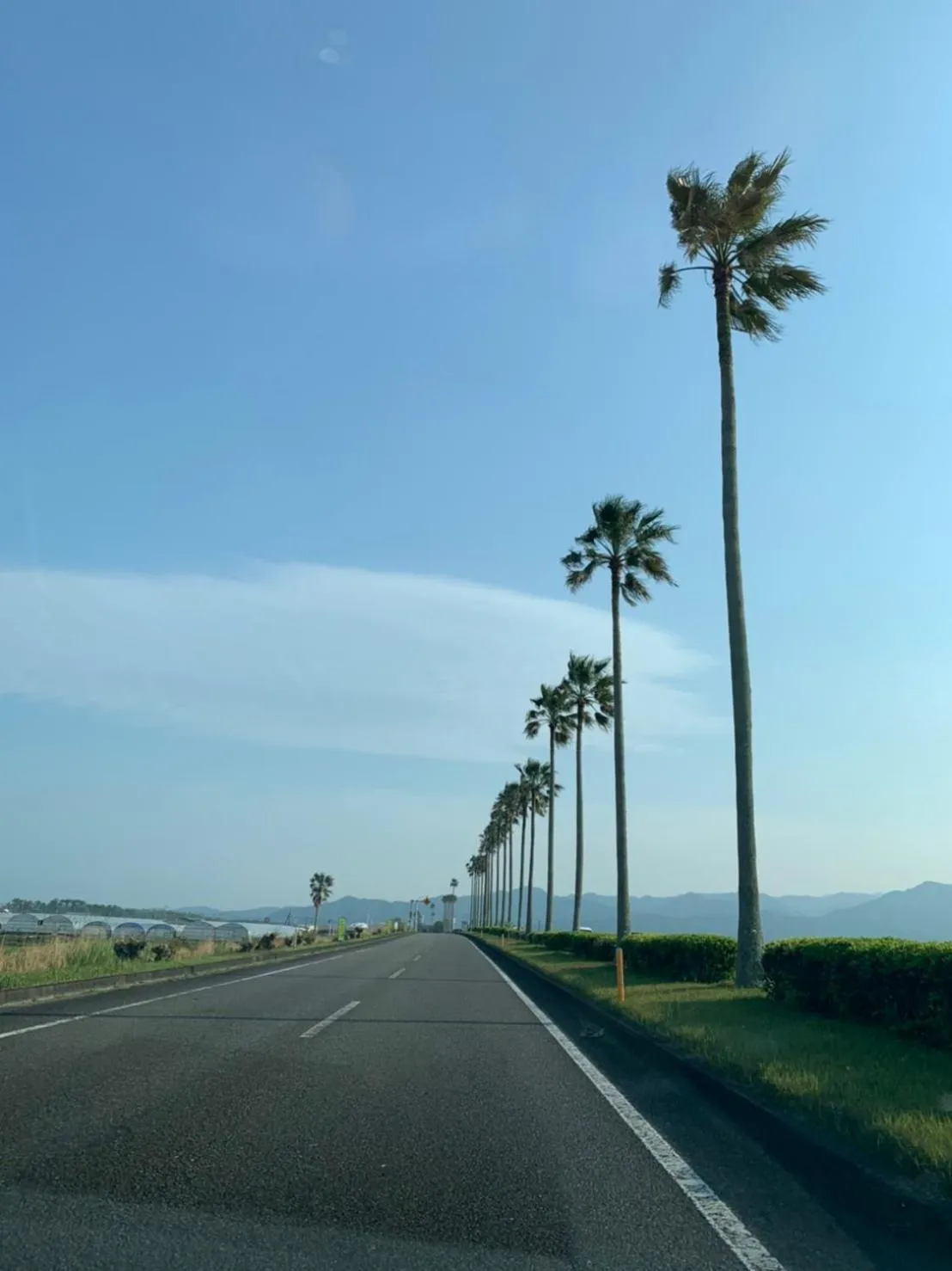Natural landscape in SHIRAHAMA BEACH GARDEN