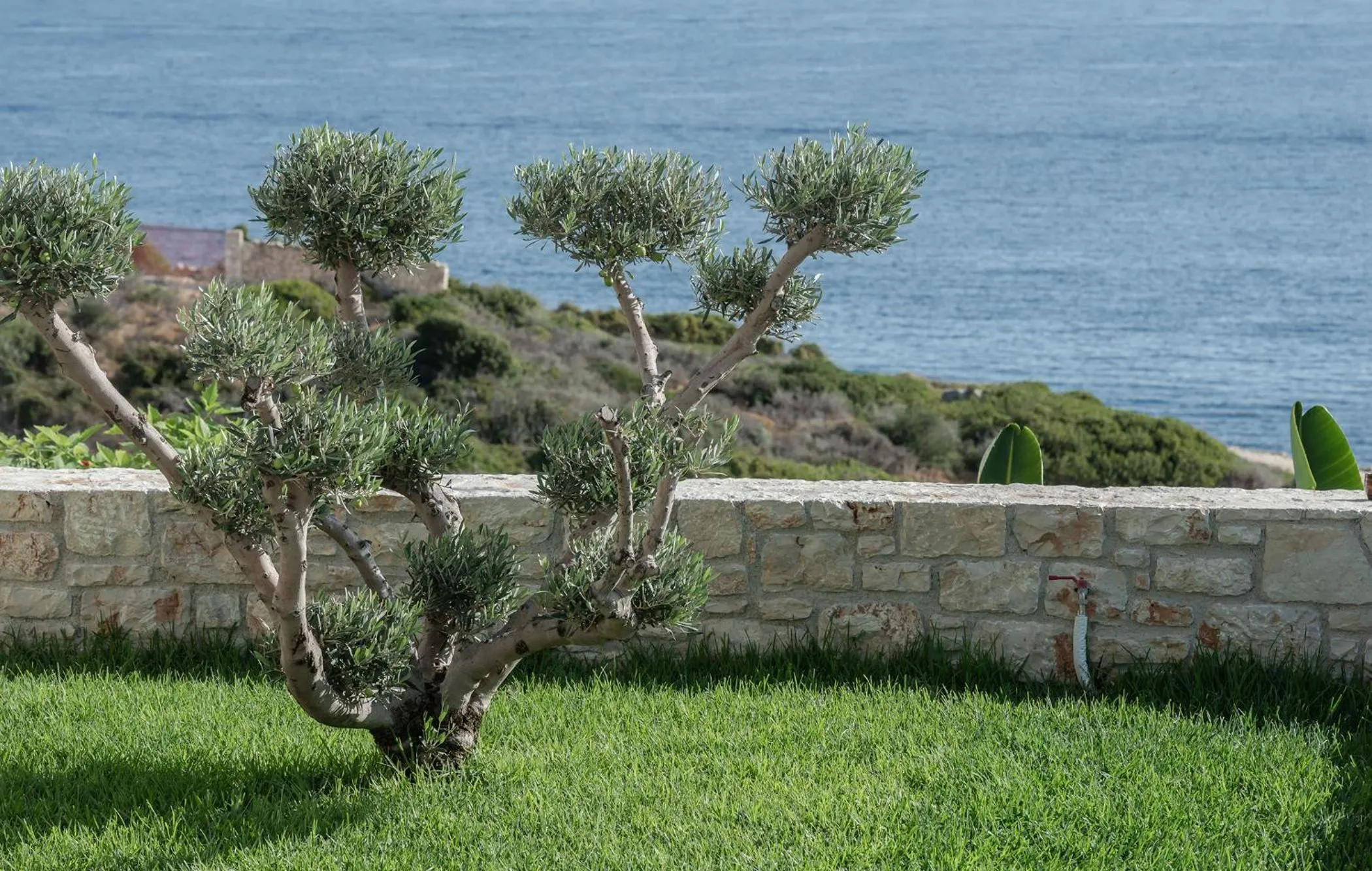 Aliv stone suites & spa