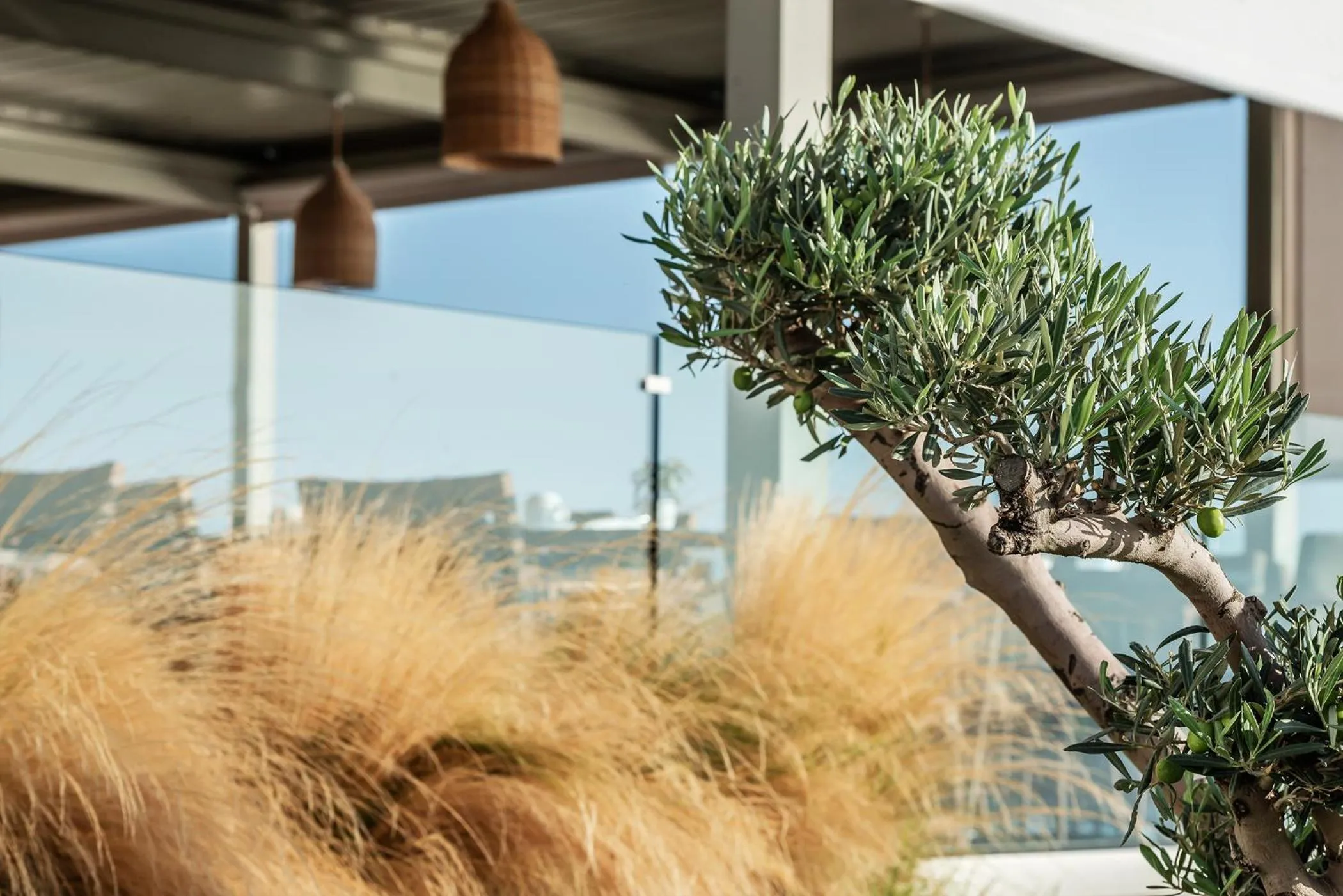 Aliv stone suites & spa