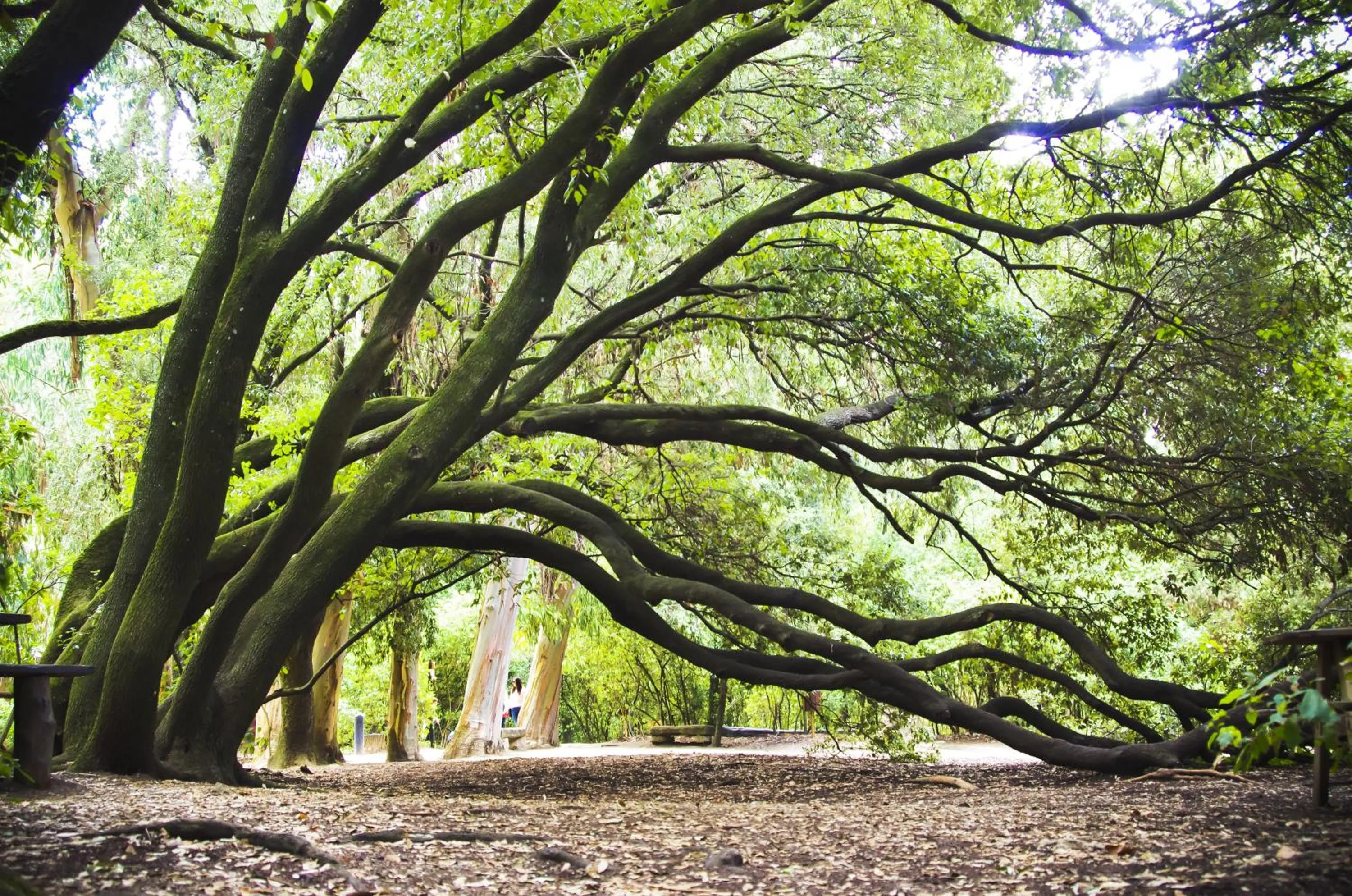 D¿jala - B&B de Charme