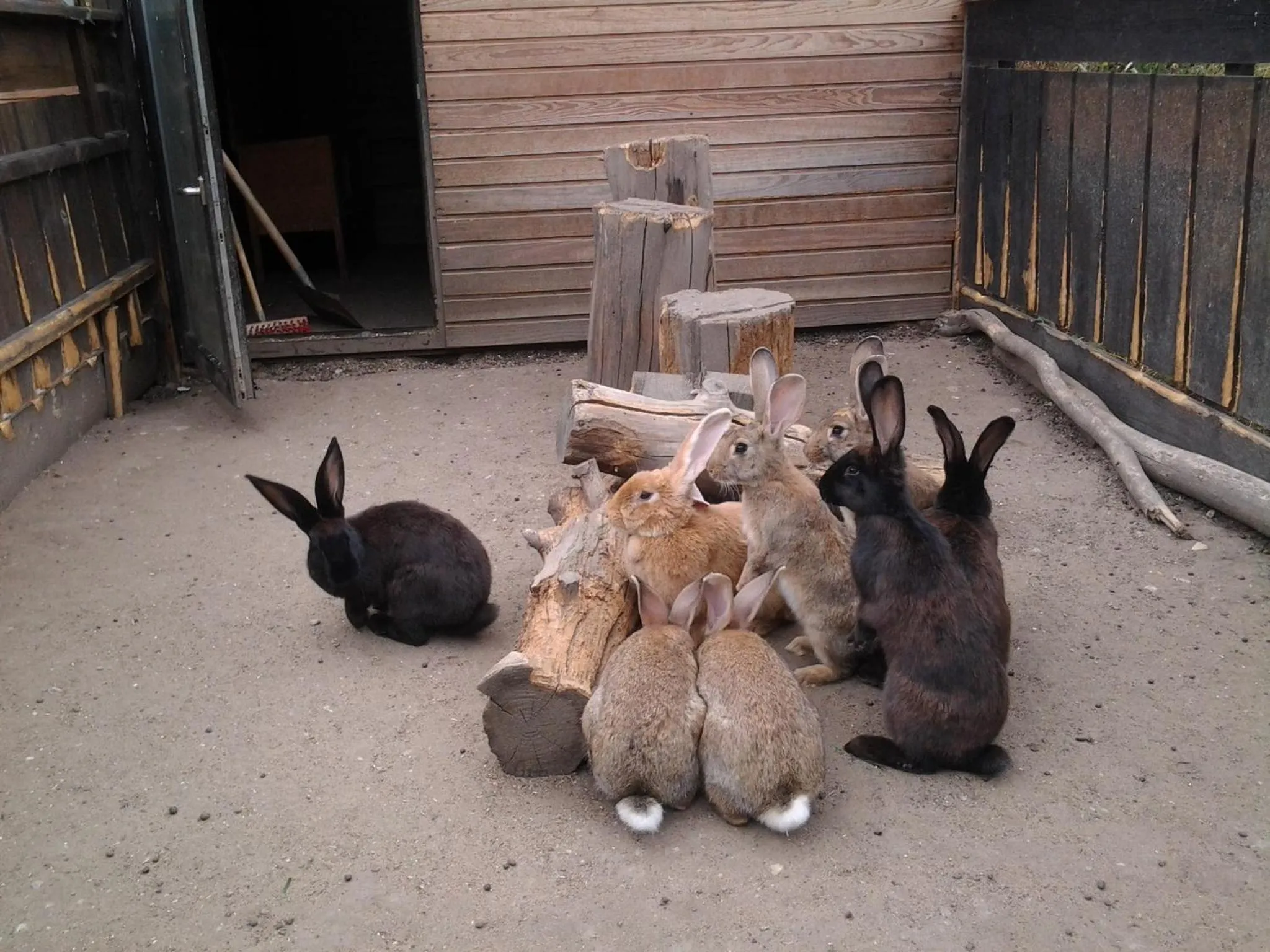 Garden in Hotel Göller
