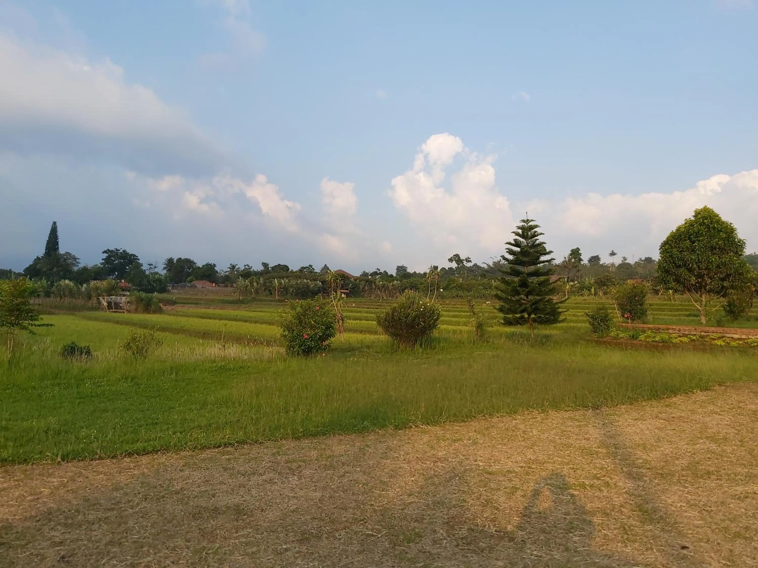 Natural landscape in Degung Hillside