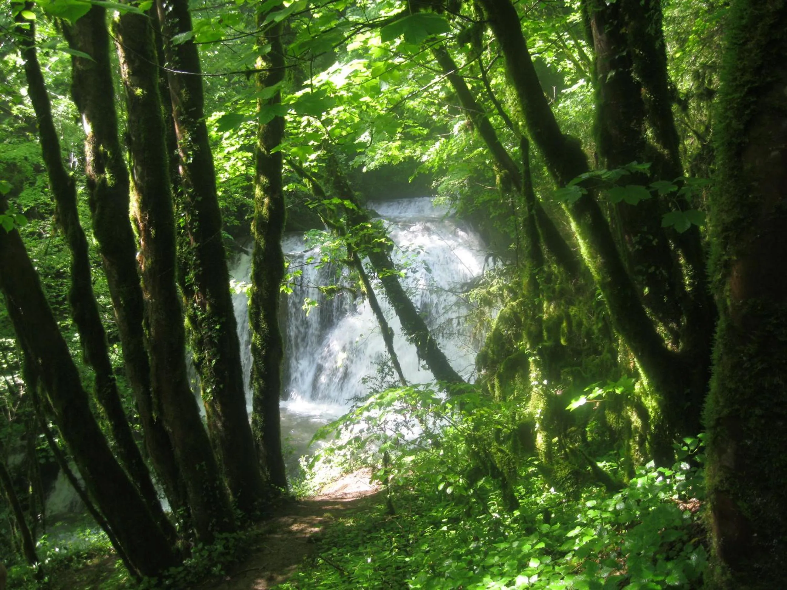 Nearby landmark in Murmure des buis