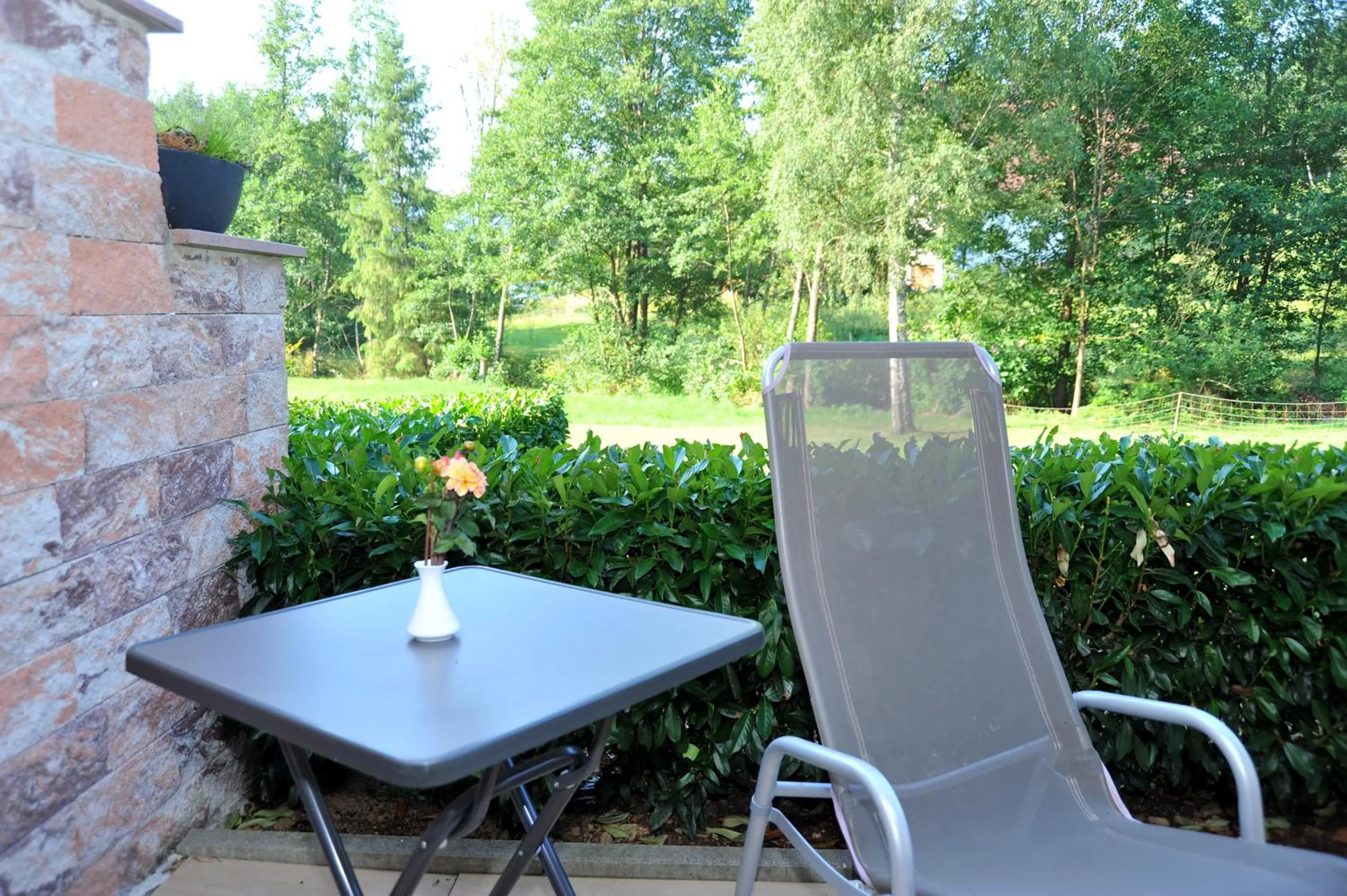 Balcony/Terrace in Landgasthof Adler Pelzmühle