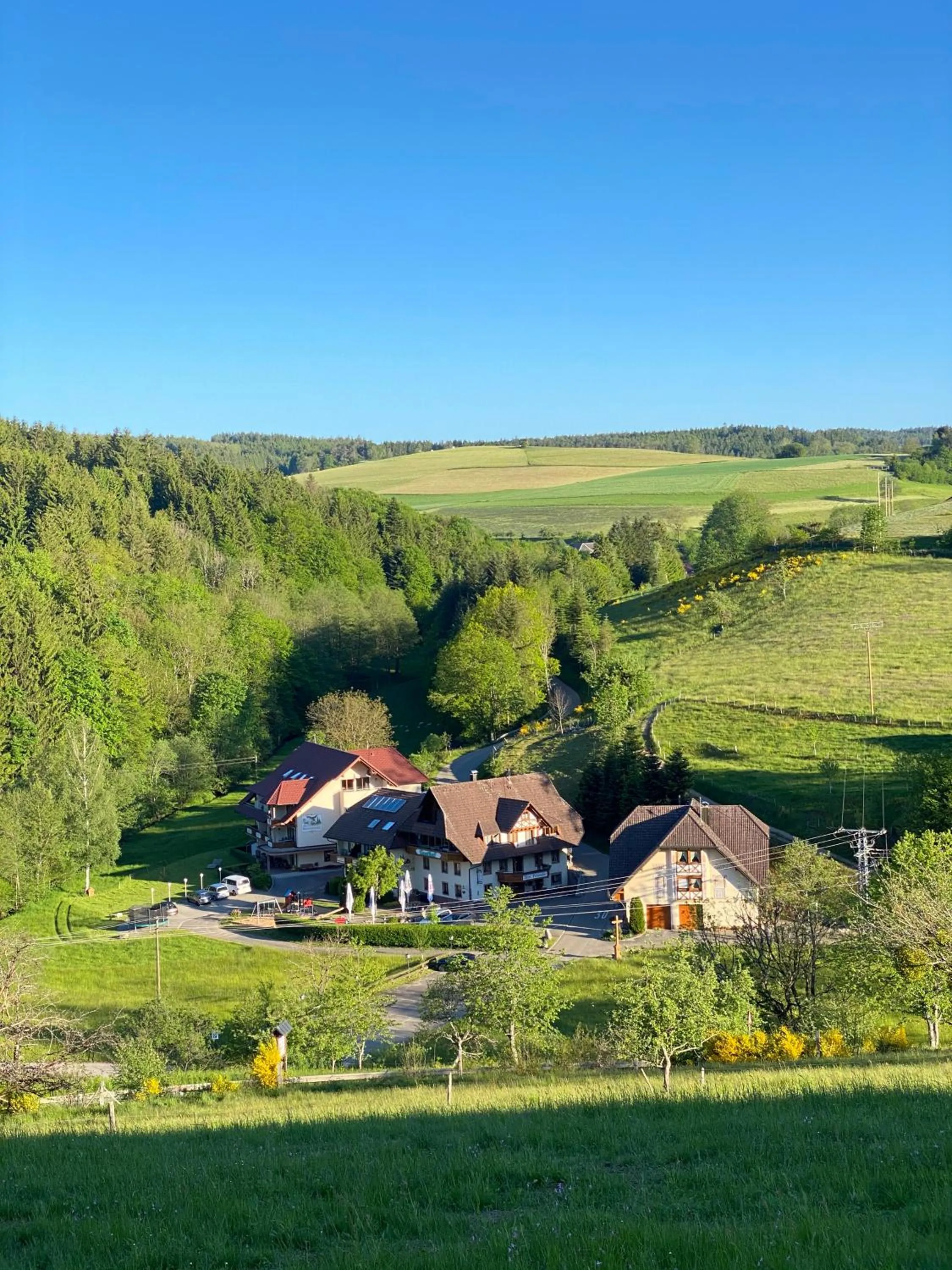 Property building in Landgasthof Adler Pelzmühle