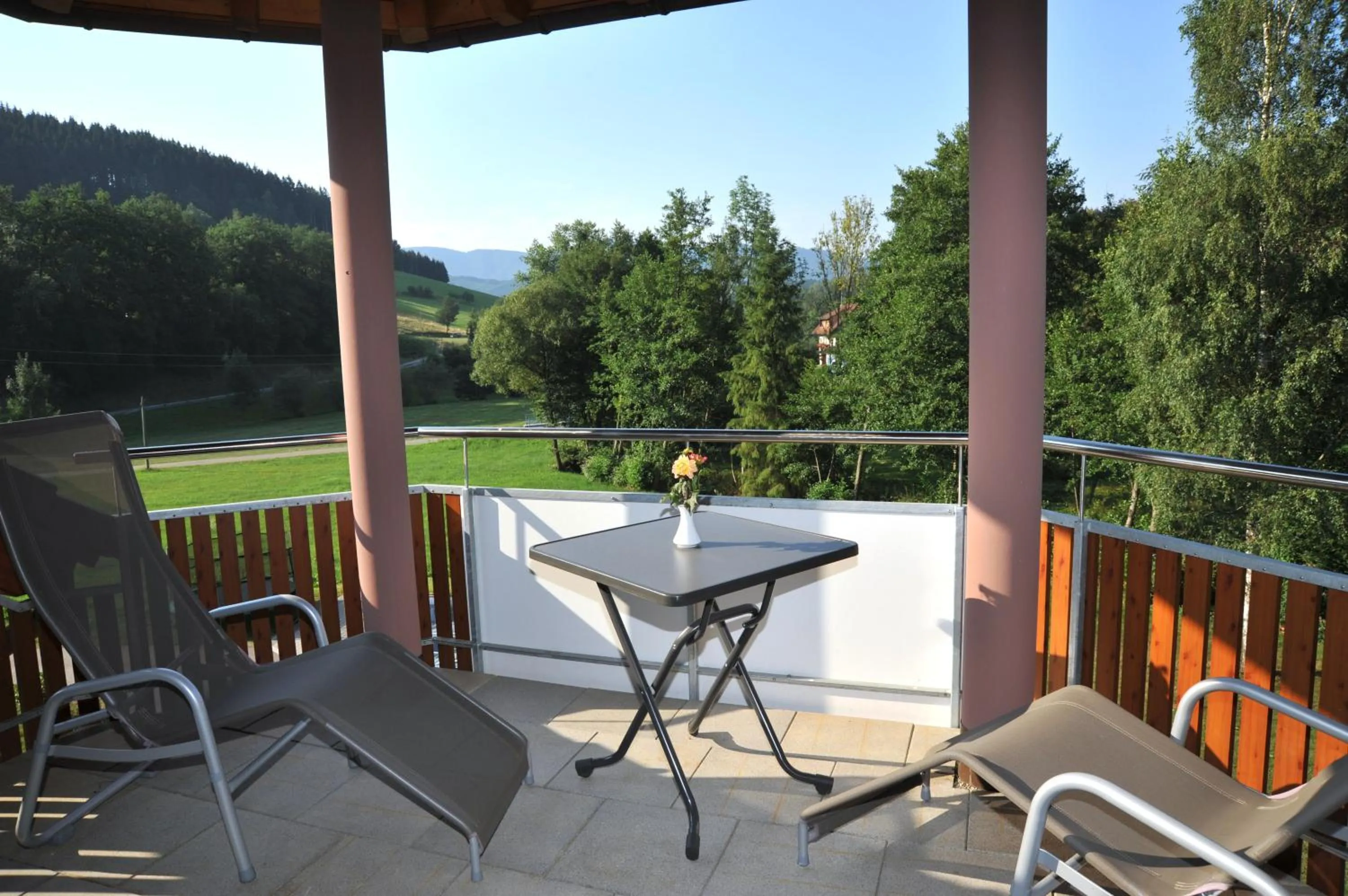 Balcony/Terrace in Landgasthof Adler Pelzmühle