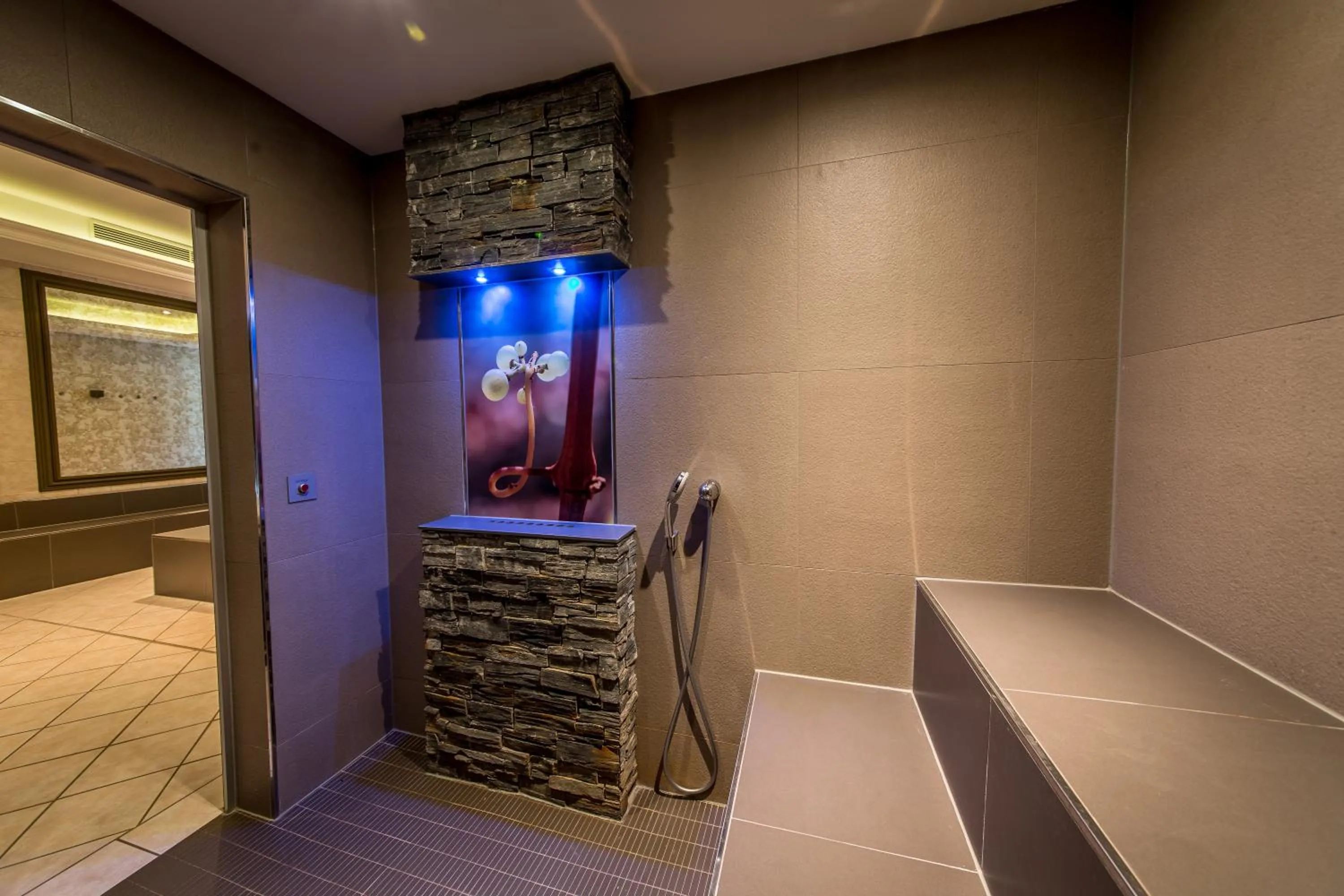 Steam room in Schloß-Hotel Petry