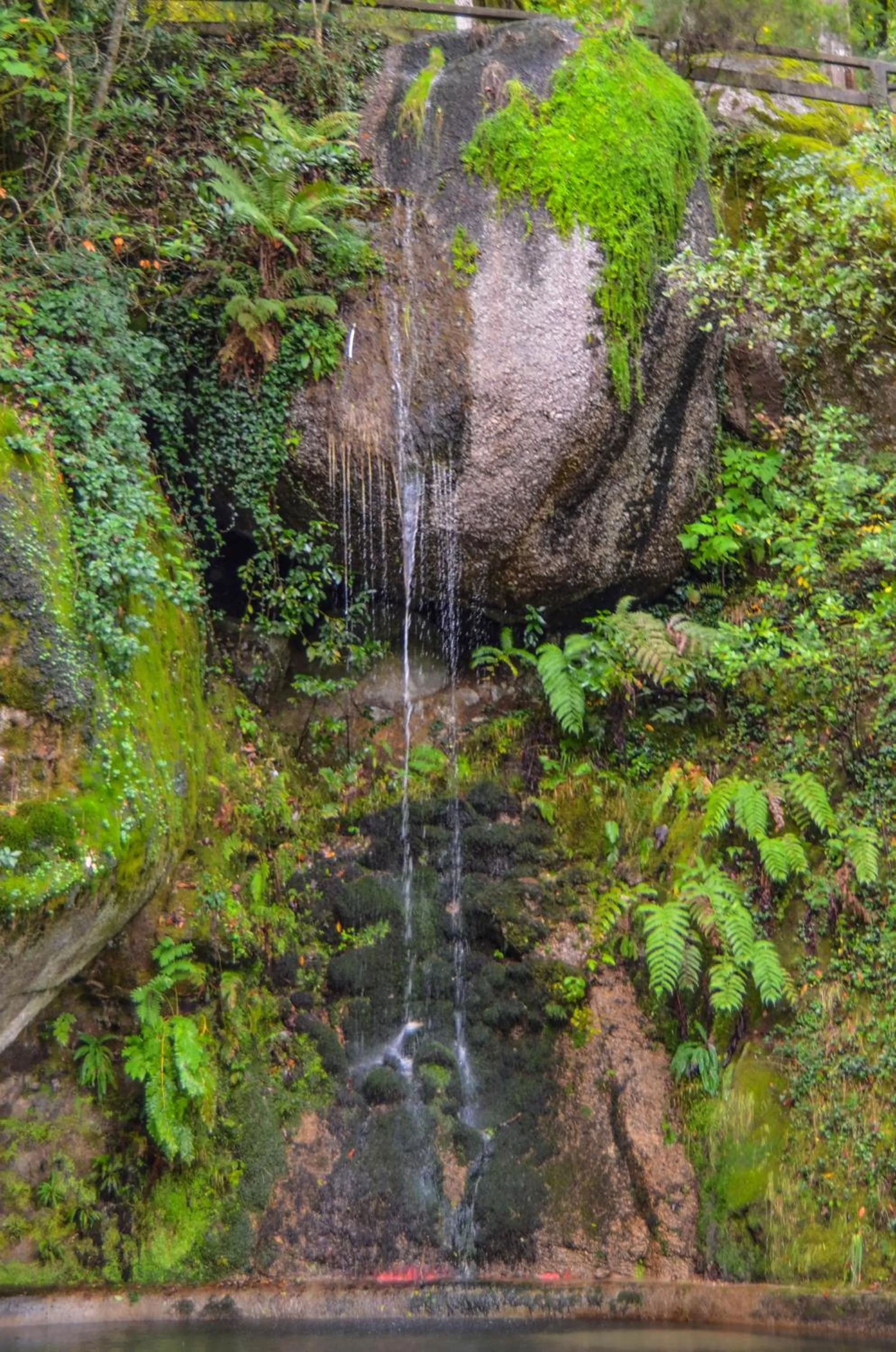 Garden in Hotel São Bento da Porta Aberta & Spa