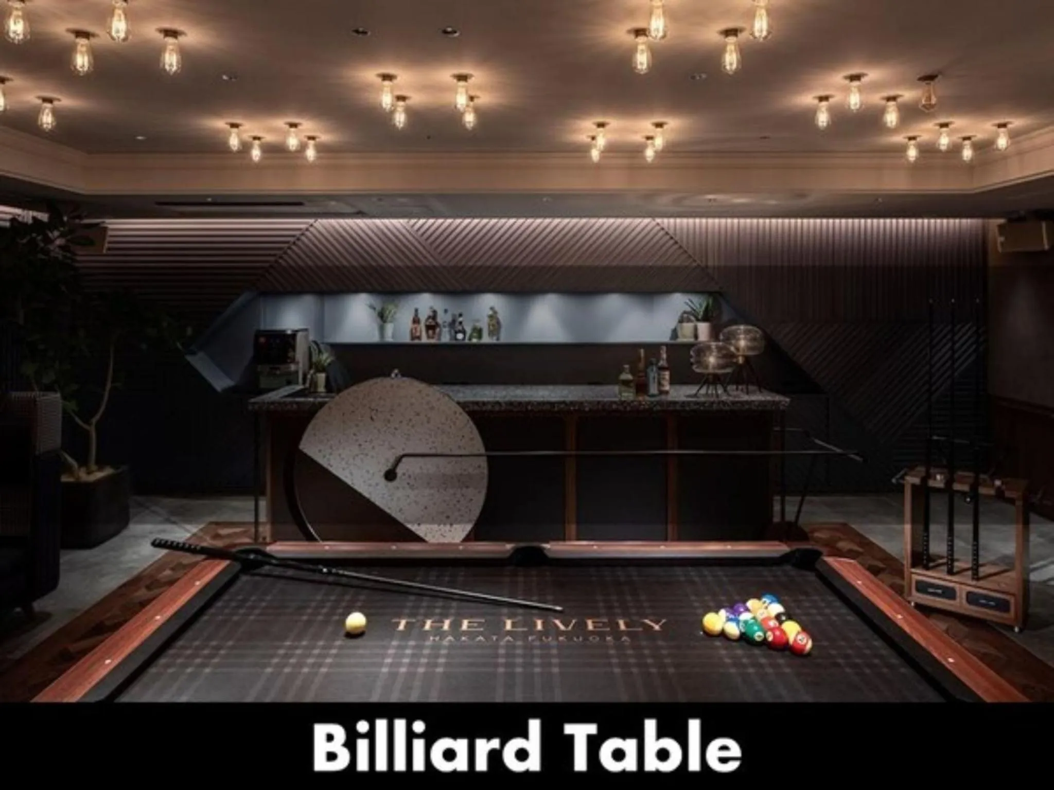 THE LIVELY HAKATA FUKUOKA - Vacation STAY 82650