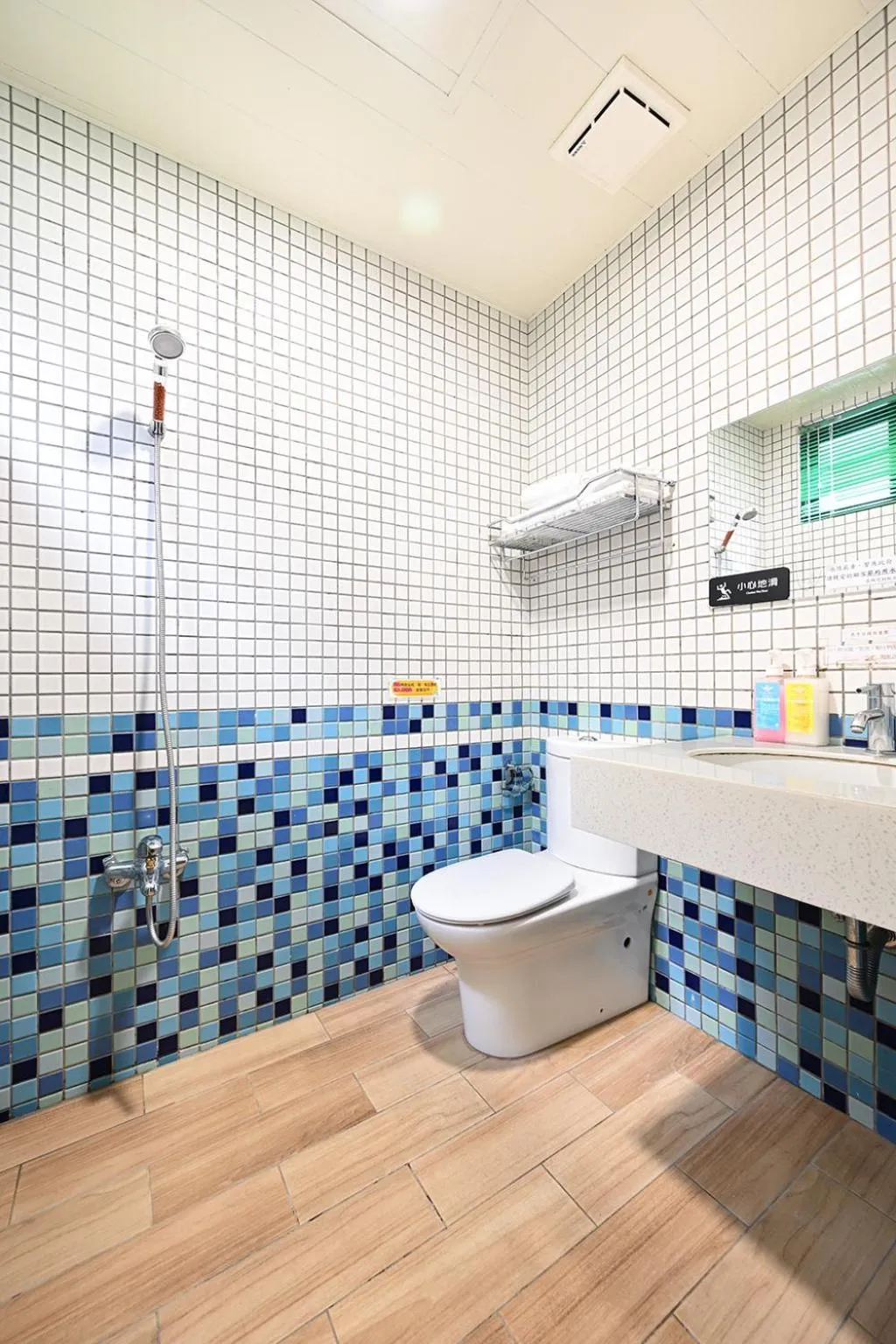 Bathroom in Lakeview Homestay