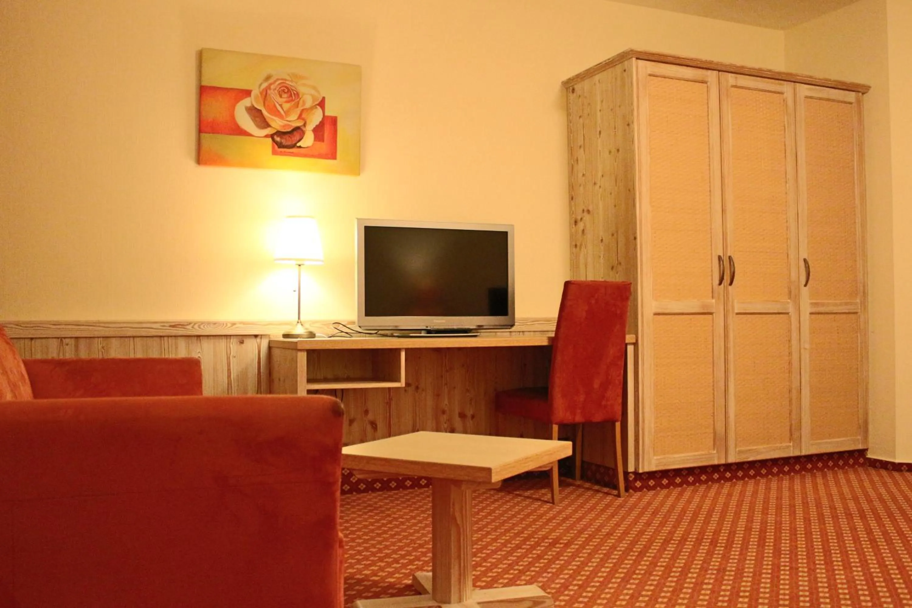 TV and multimedia in Central-Hotel