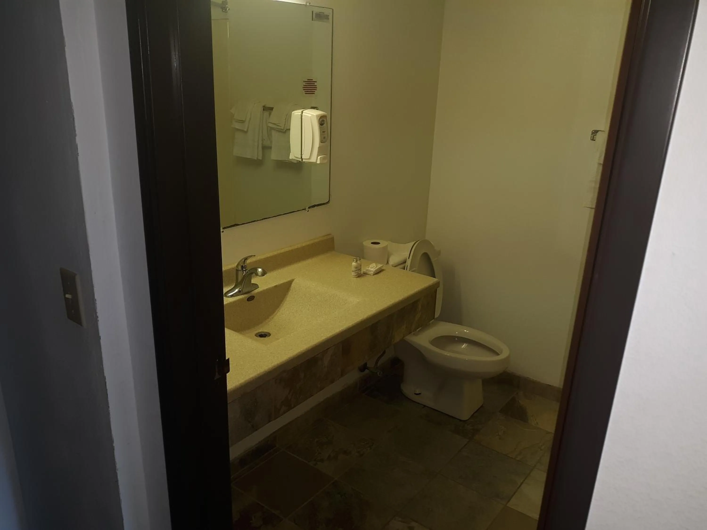 Toilet in Guest Lodge Motel