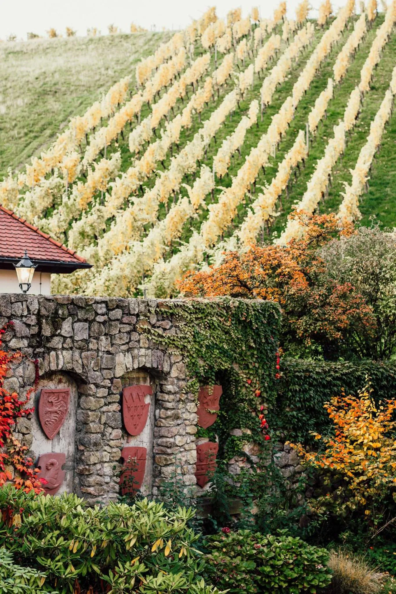 Natural landscape in Hotel Residenz im Schloss Neuweier