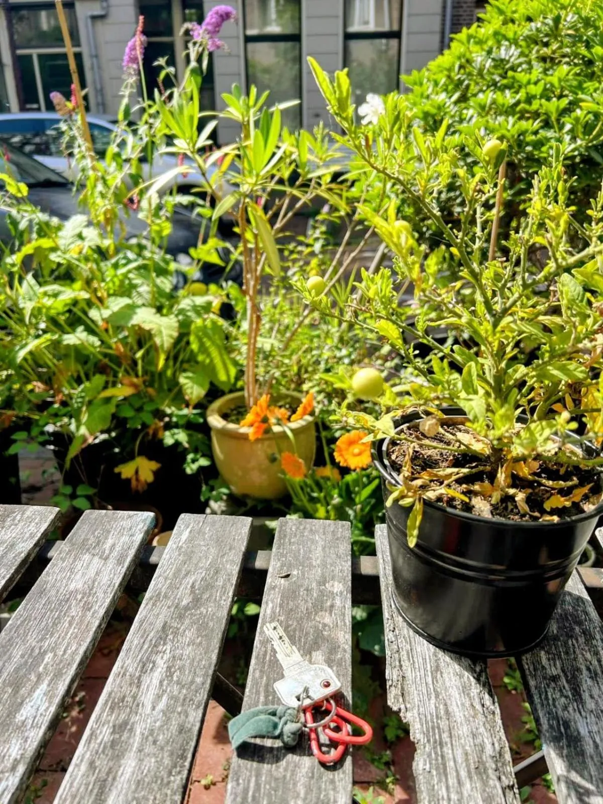 Property building in Marijke's guestroom