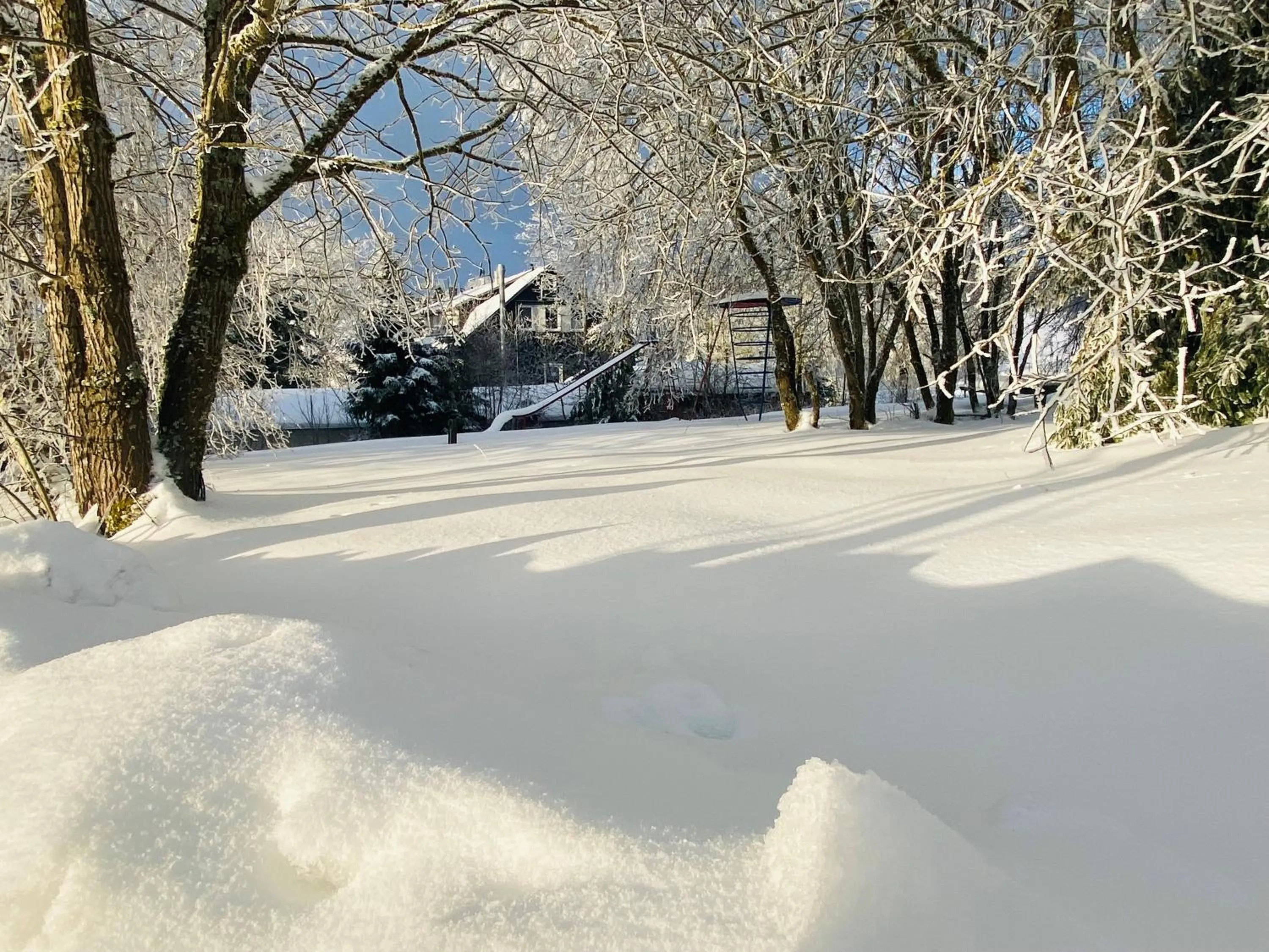Winter in Haus Rosenbaum am Rennsteig Gruppenhaus - Pension - Begegnungsstätte bis 50 Personen