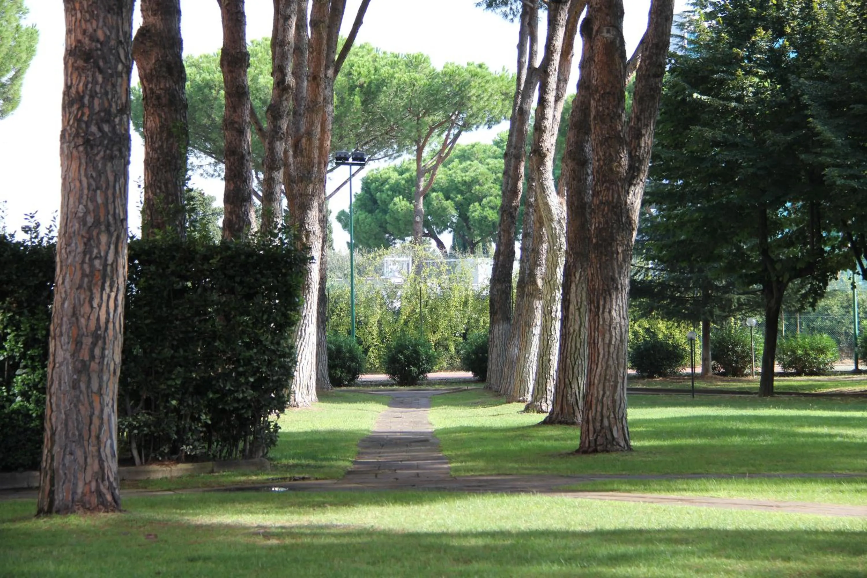 Garden in Serafico Guesthouse