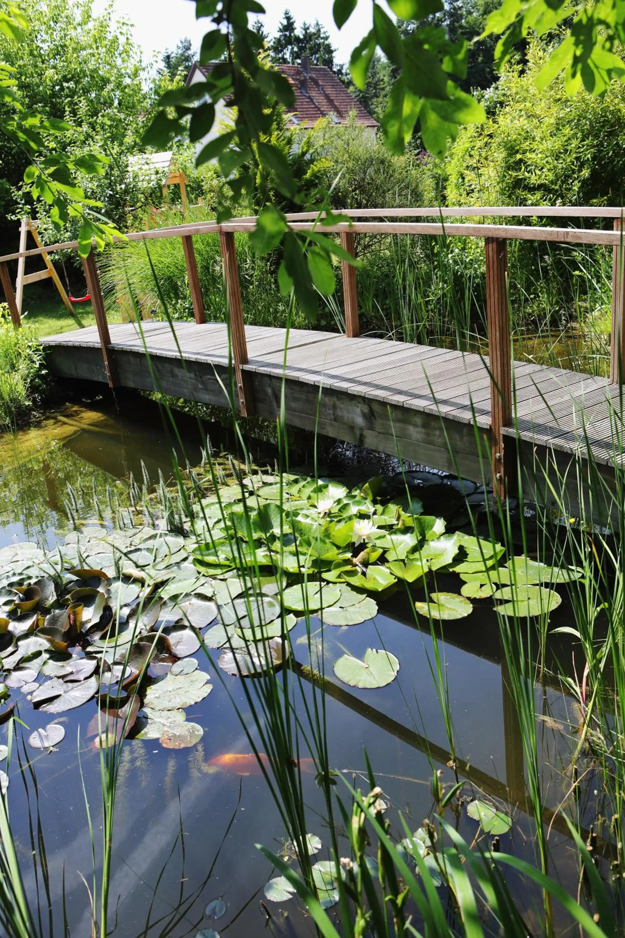 Day in Brackweder Hof