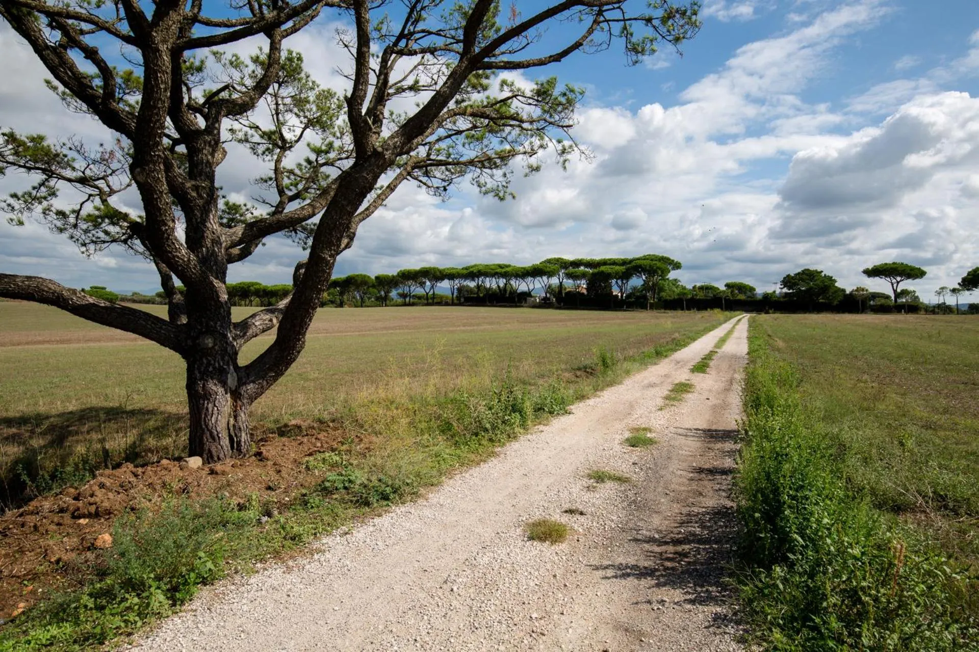 Natural landscape in Tenuta Capizucchi