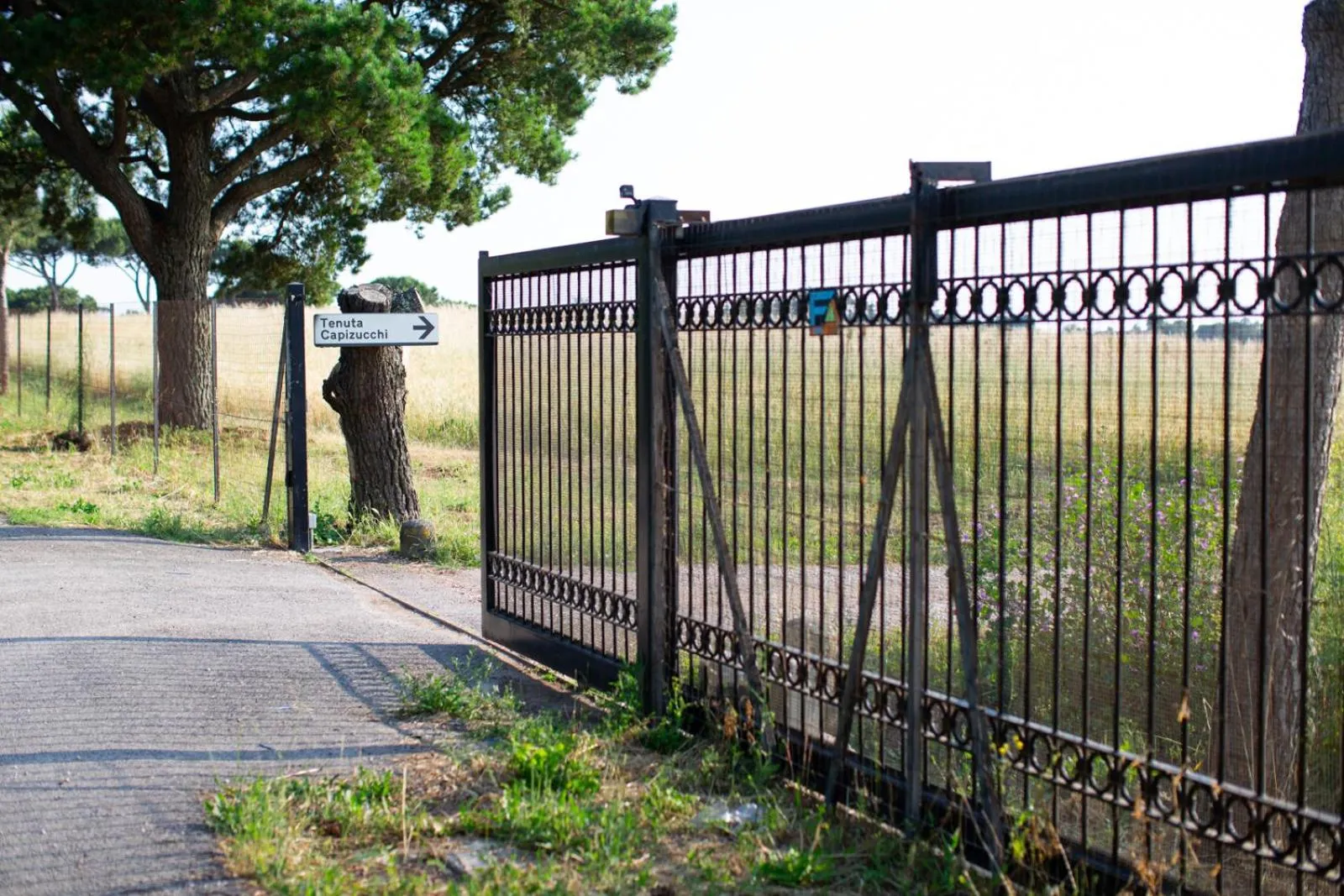 Facade/entrance in Tenuta Capizucchi