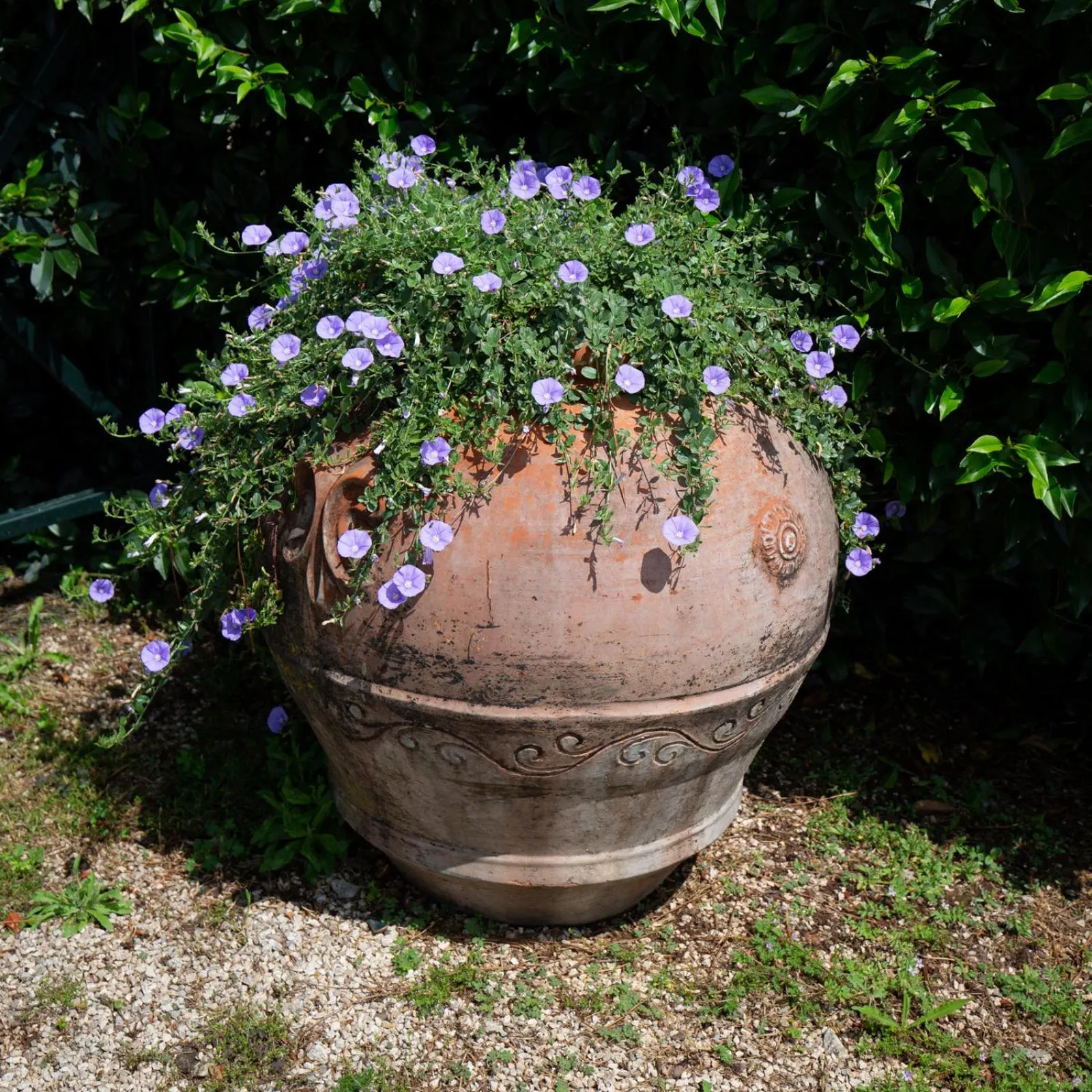 Natural landscape in Tenuta Capizucchi