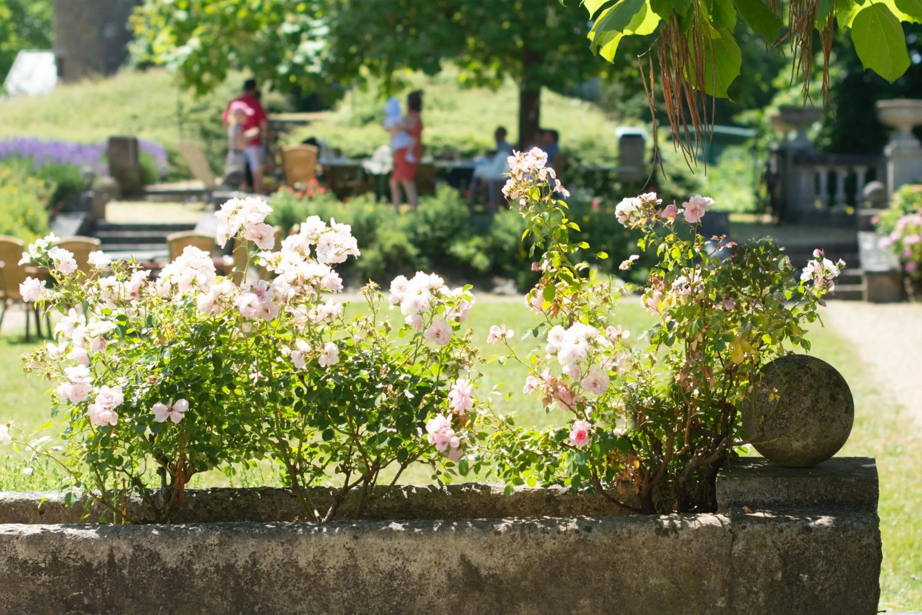 Garden in Les Sorbiers