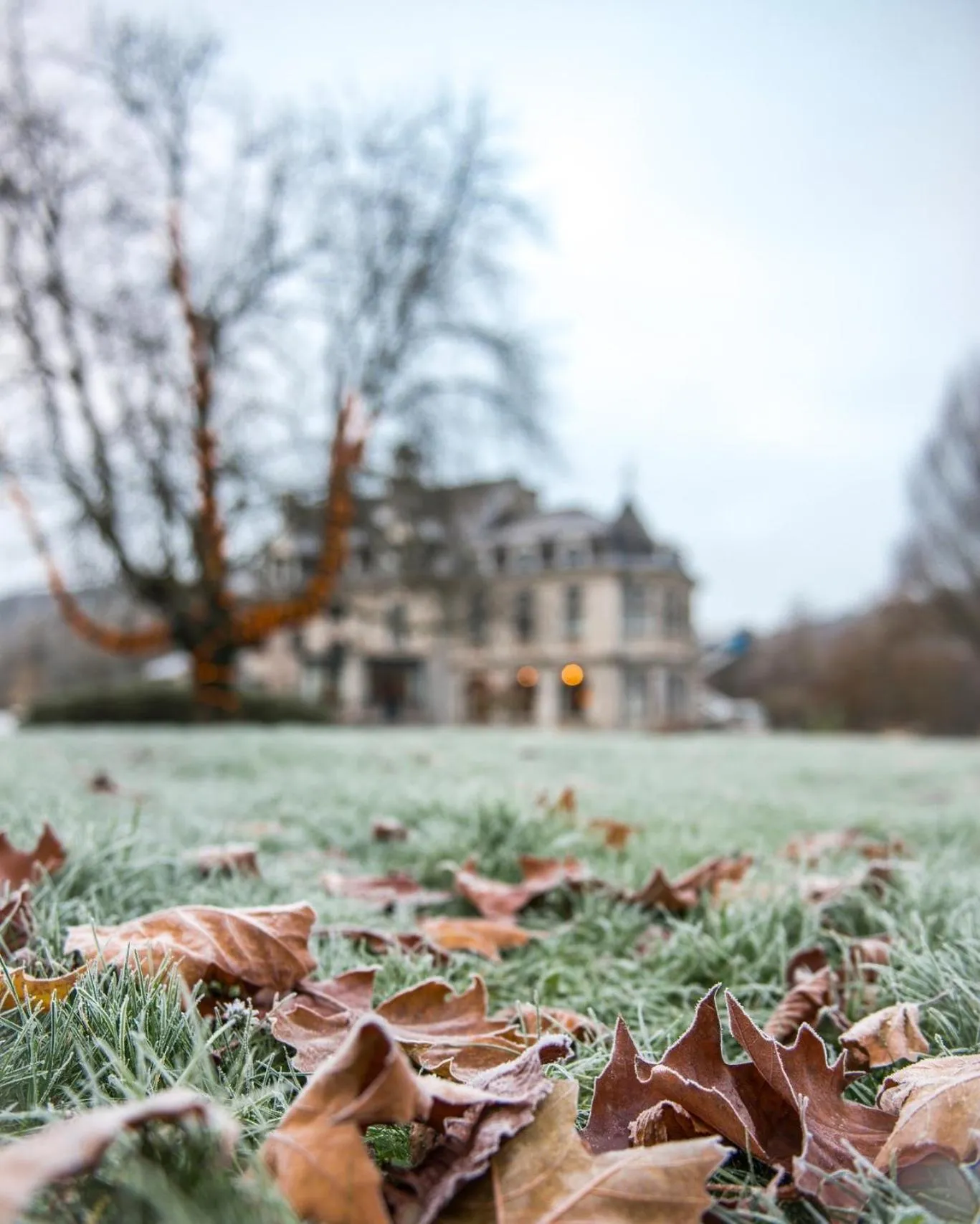 Winter in Les Sorbiers