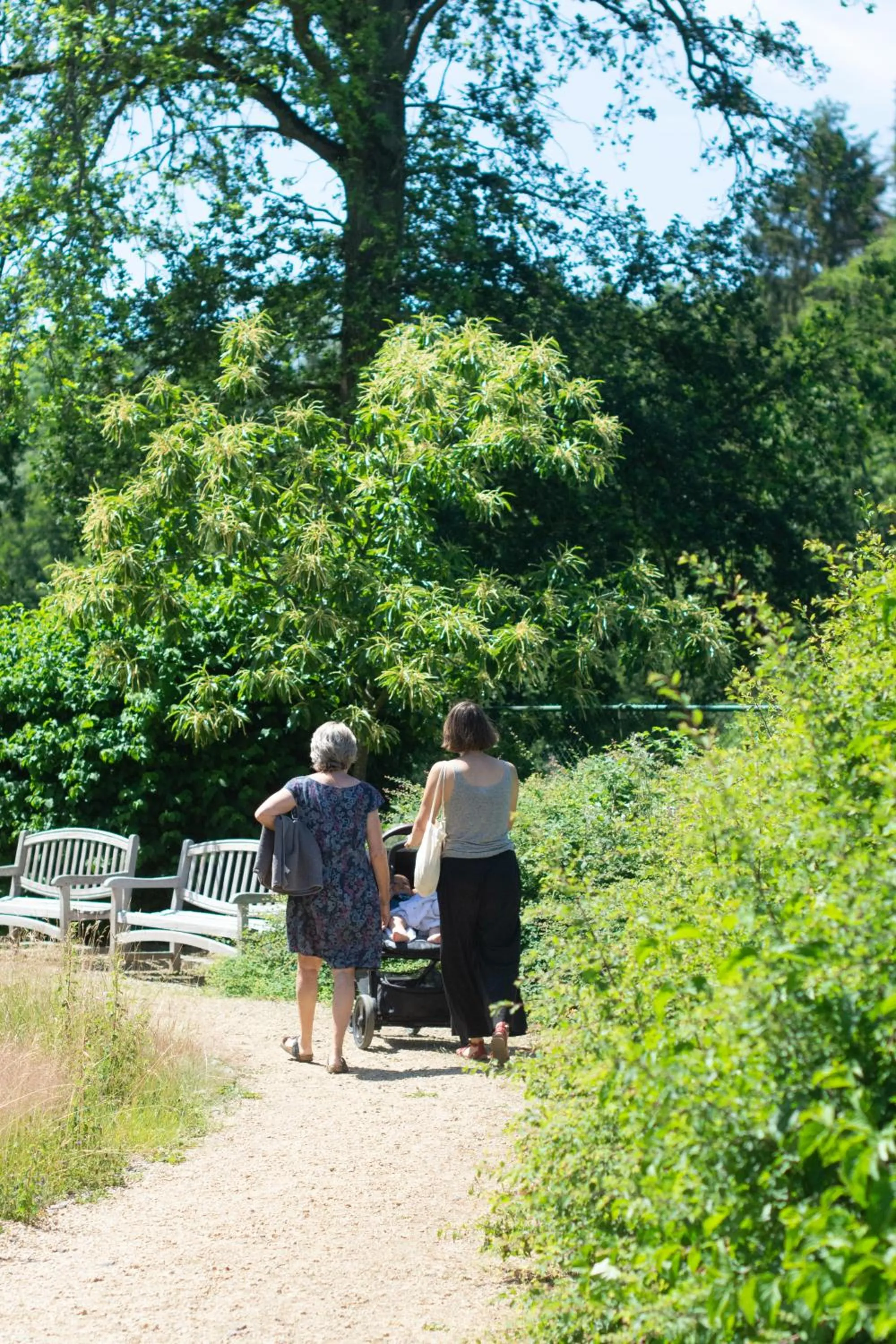 Property building in Les Sorbiers