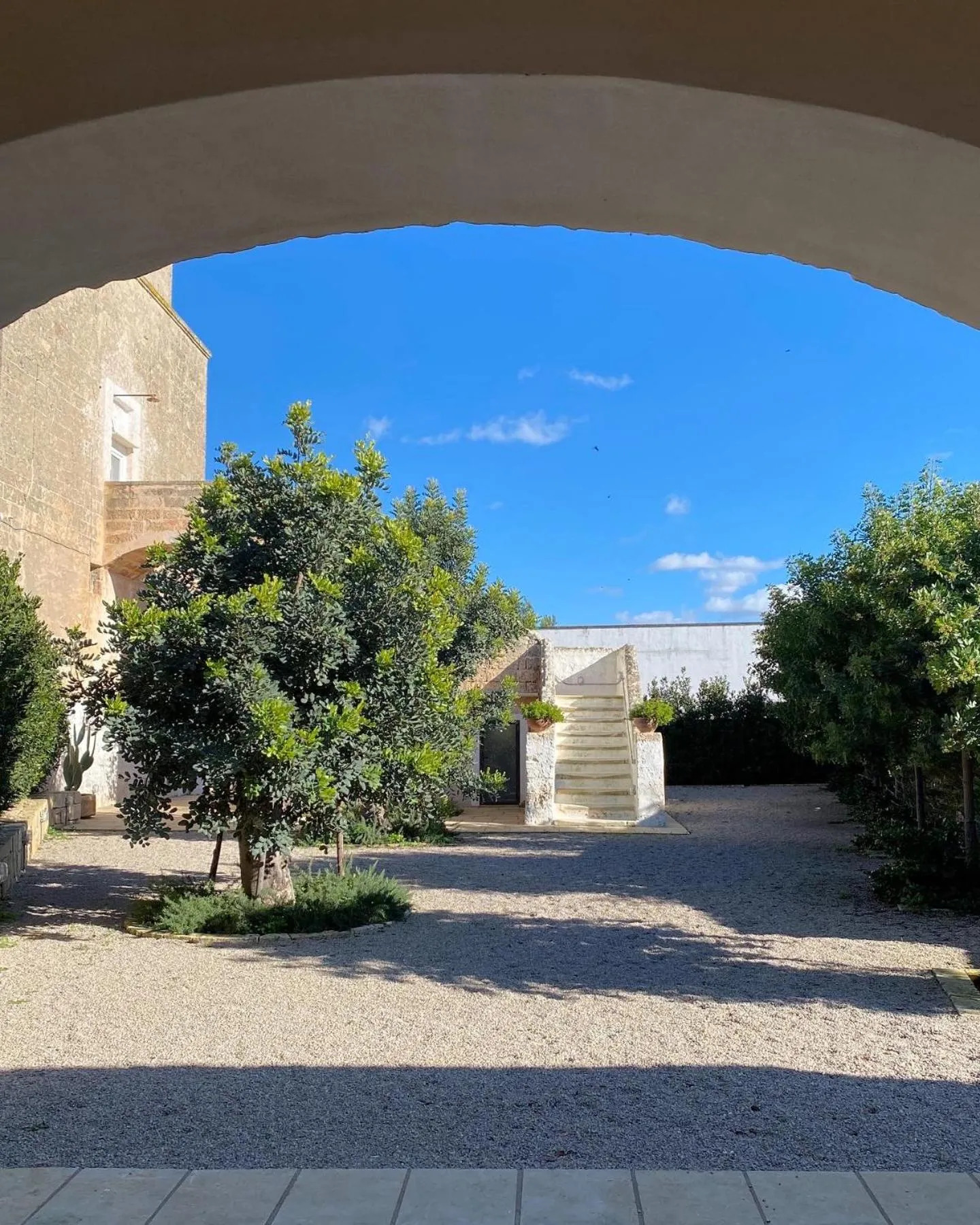Garden in Galeta Masseria