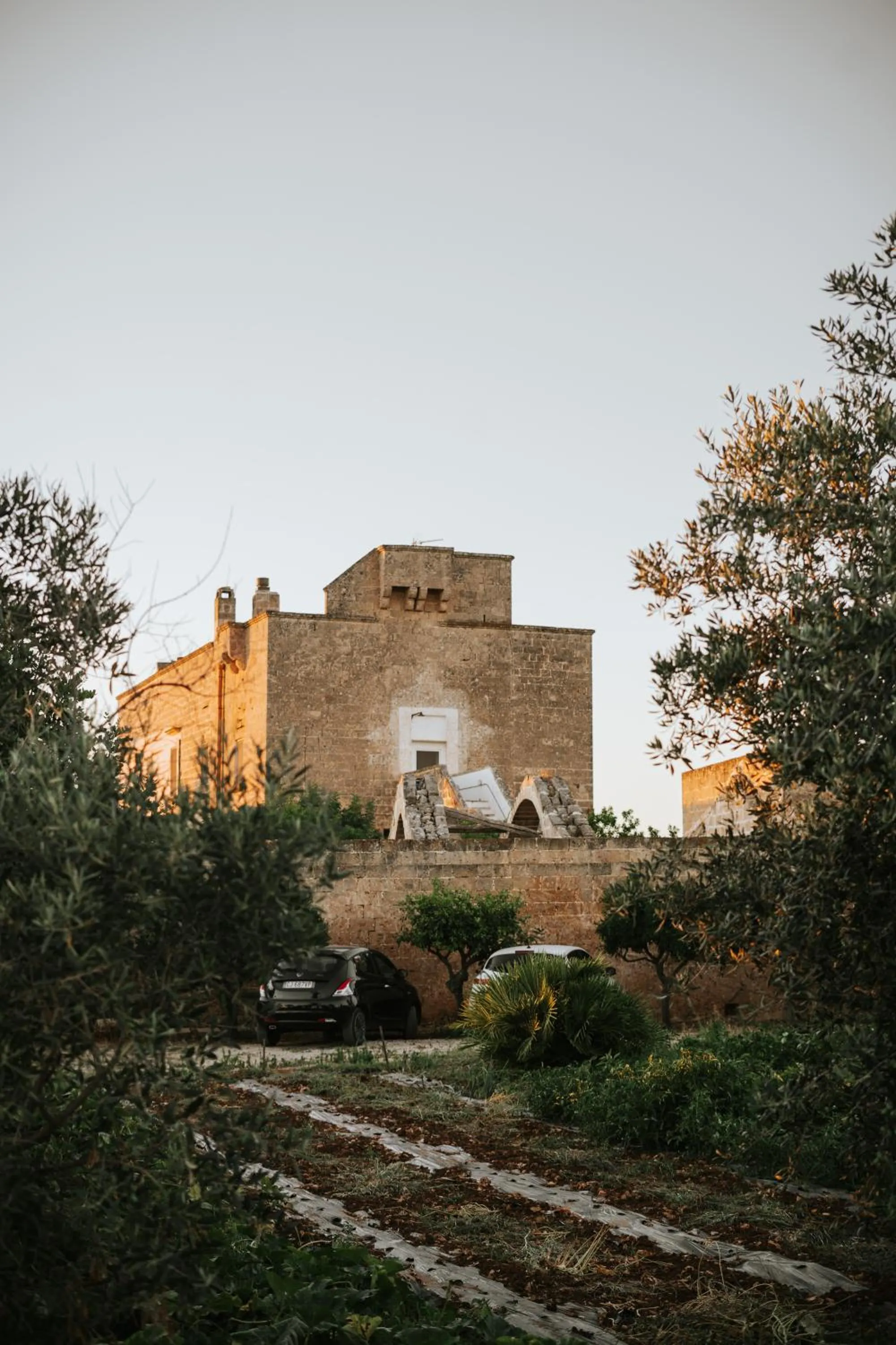 Garden in Galeta Masseria