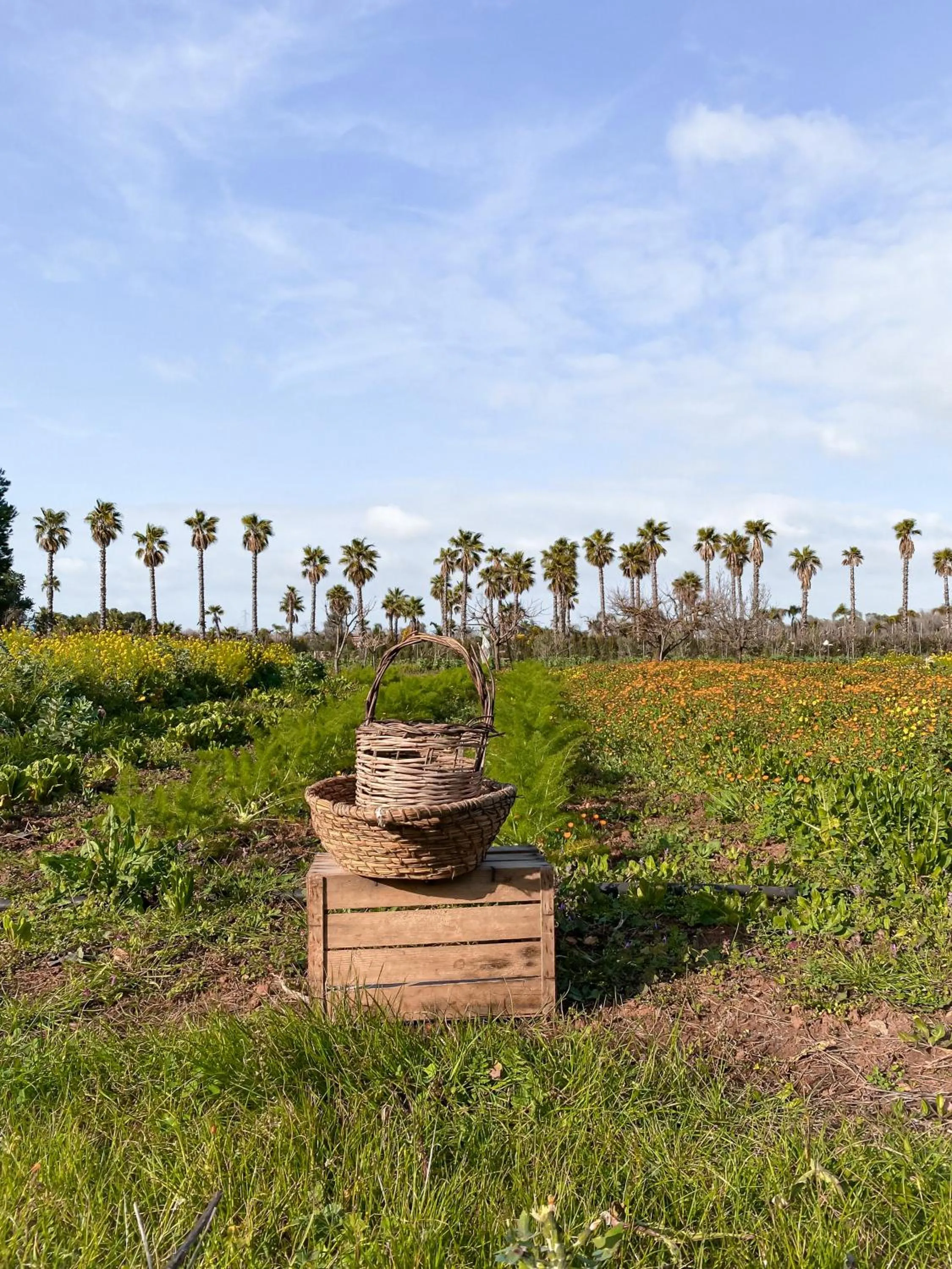 Day in Galeta Masseria